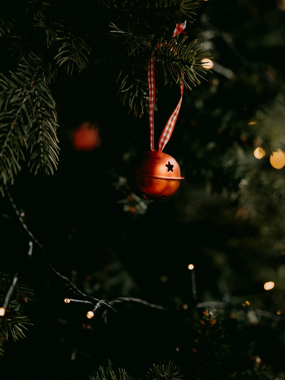 red bauble on green pine tree