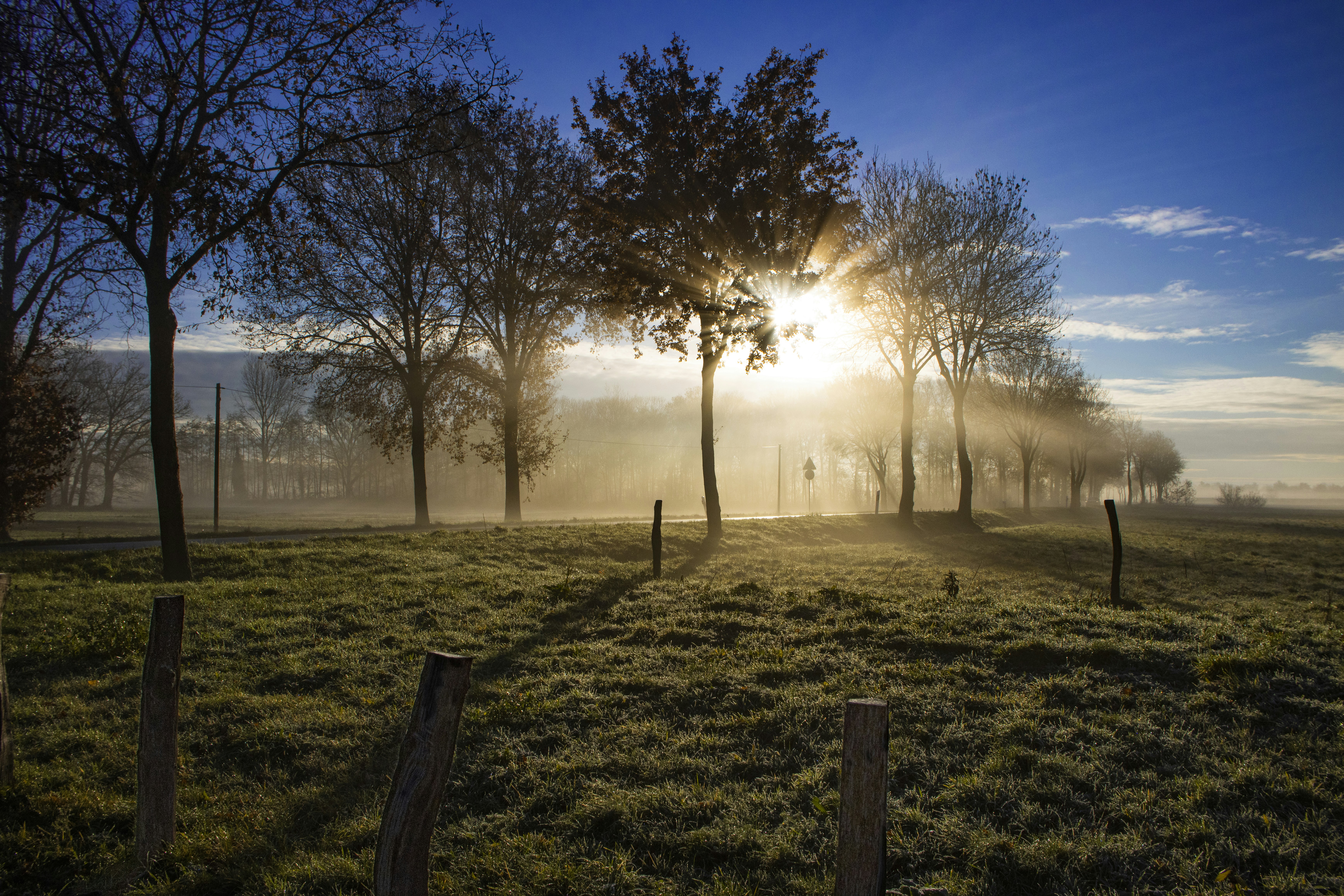 Photo by robert_aardenburg