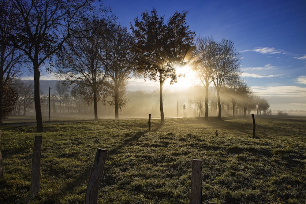 brown wooden fence on green grass field during daytime