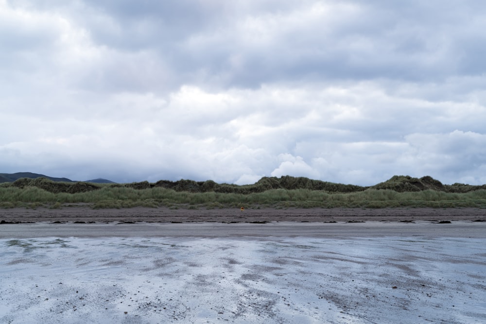 green grass field near body of water under white clouds during daytime