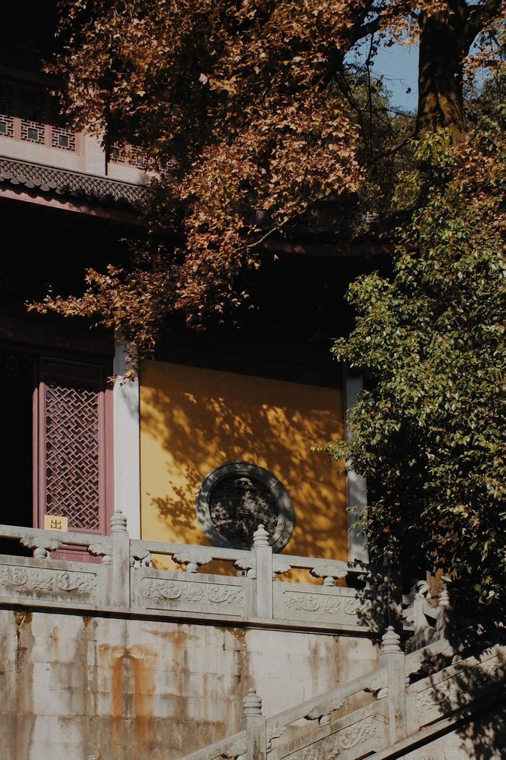 green tree beside brown concrete building