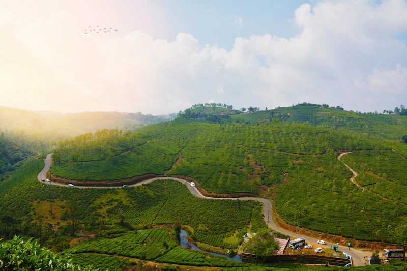 Perfect 2-Day Itinerary for Vagamon: A Practical Plan for 48 Hours