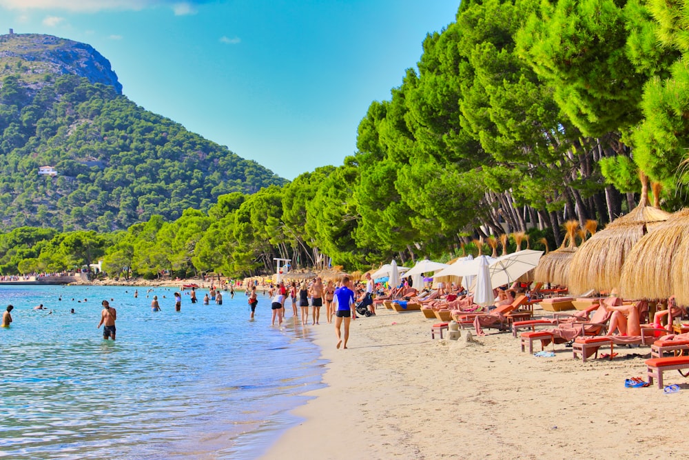 people on beach during daytime