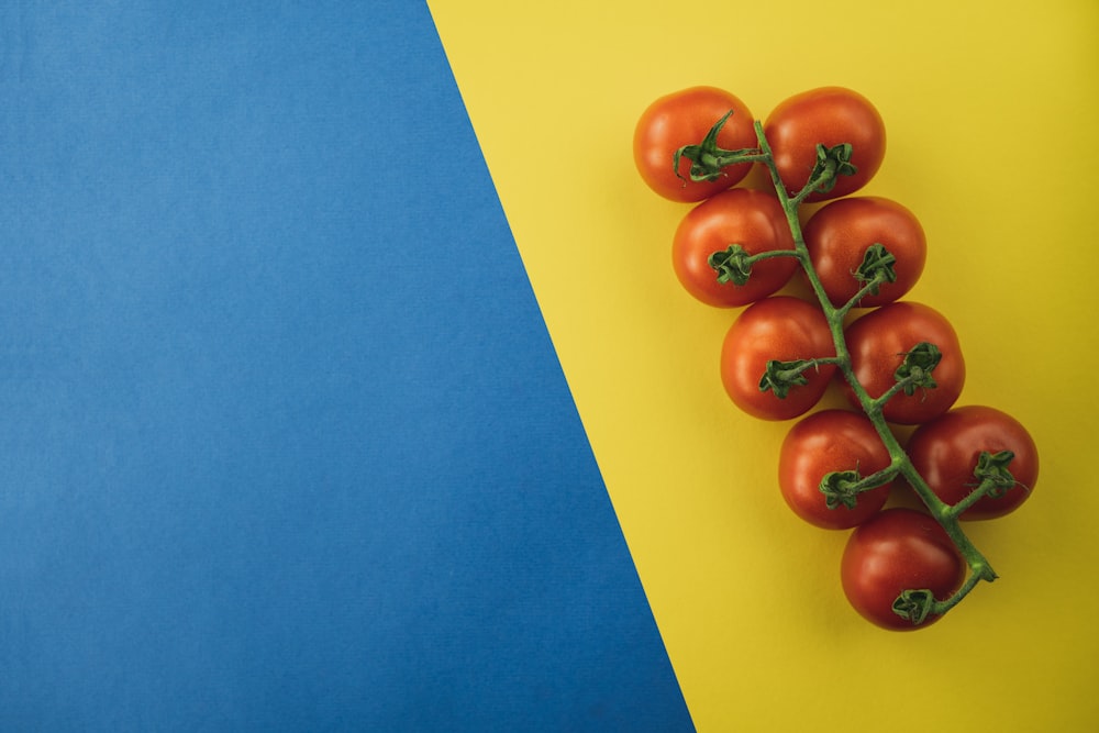 red round fruits on blue and yellow surface
