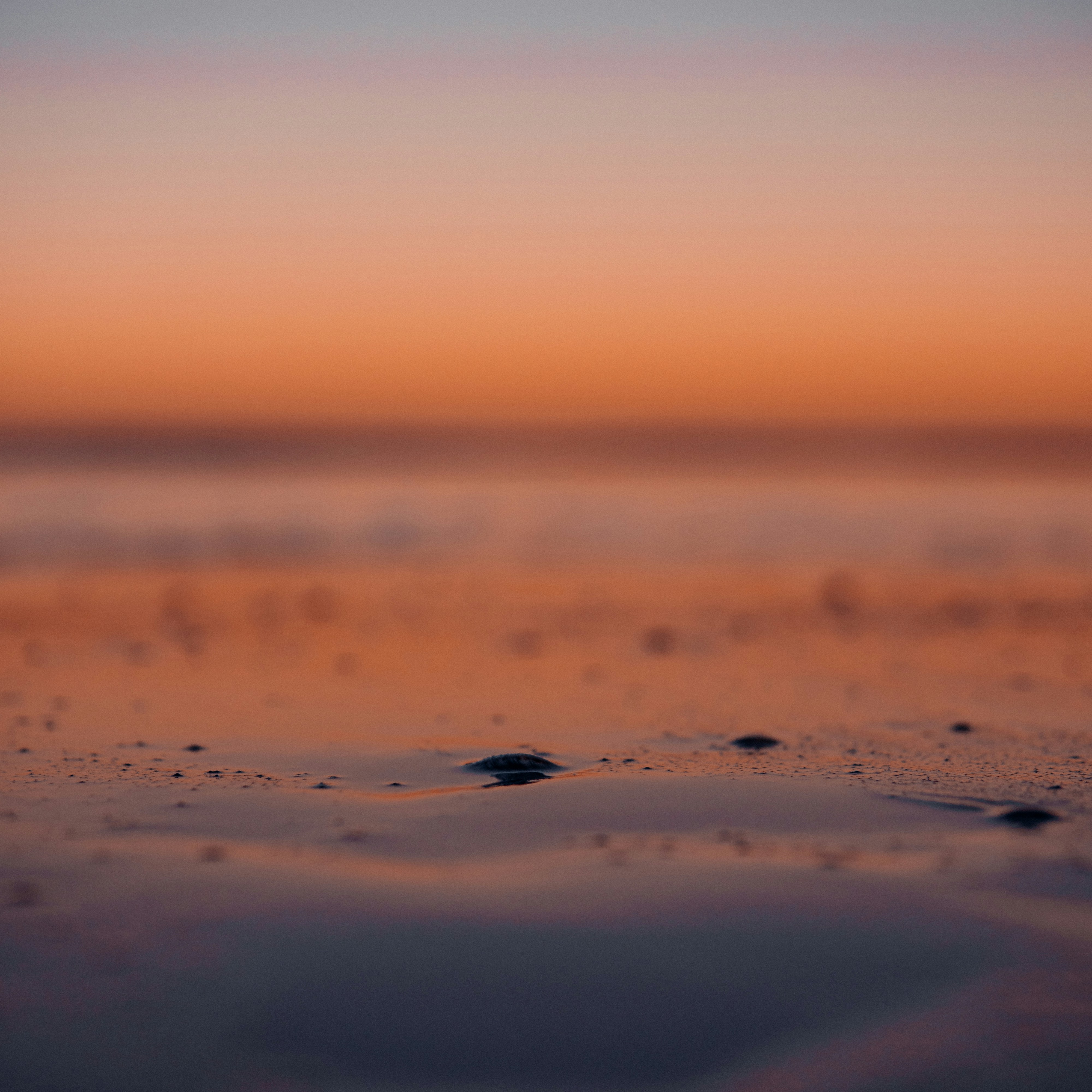 Photo by ammar_elattar1