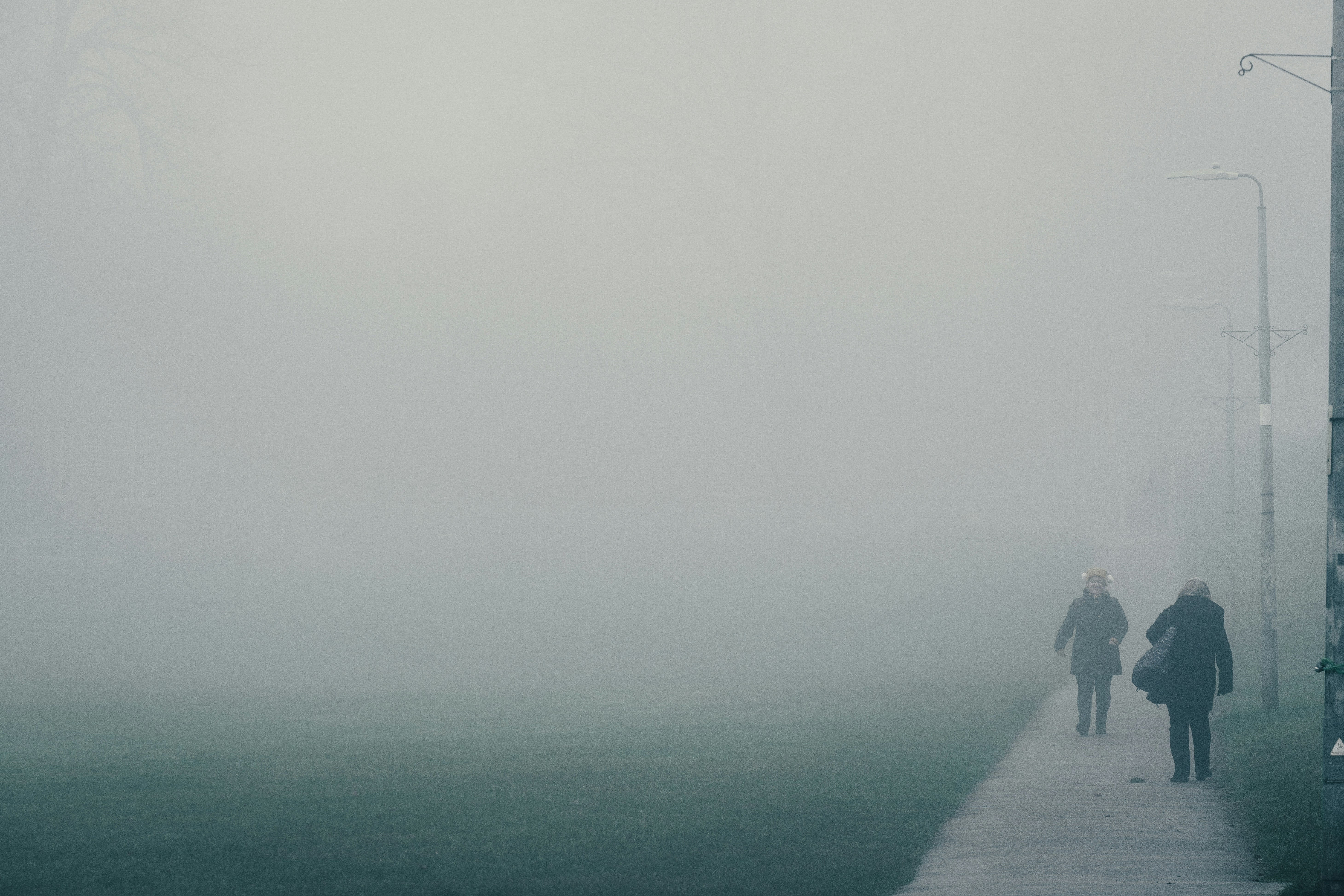 grayscale photo of a foggy road