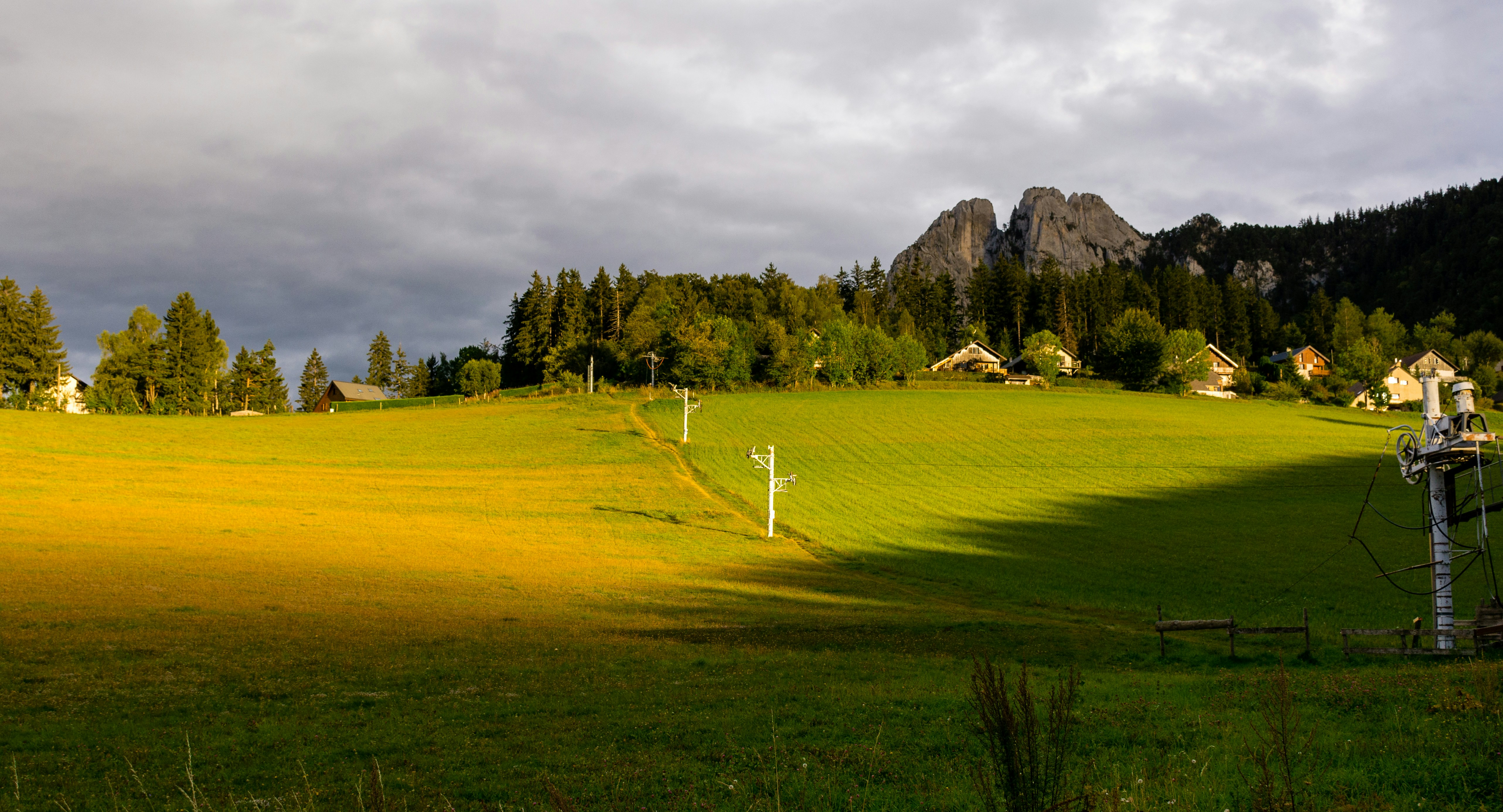 Grünes Grasfeld mit Bäumen und Berg in der Ferne