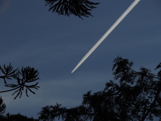 A contrail streaks across a clear blue sky, intersected by silhouettes of leafy tree branches at the top and bottom of the image.