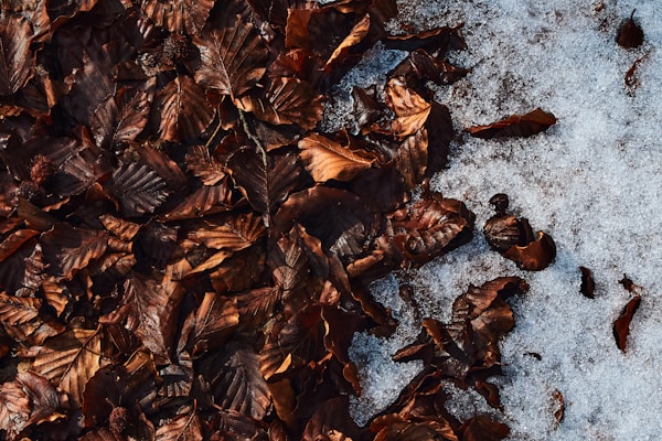 Best Seasons to Visit Castrovillari: Weather Guide