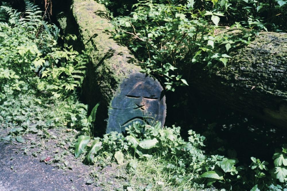 Statue en béton noir près des plantes vertes pendant la journée