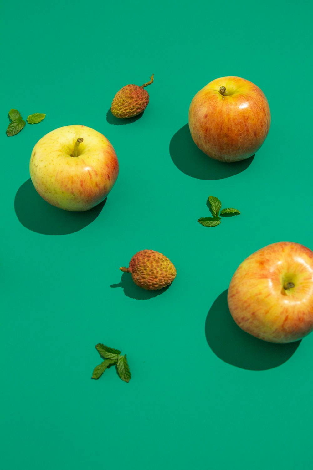 red apple fruit and green cactus