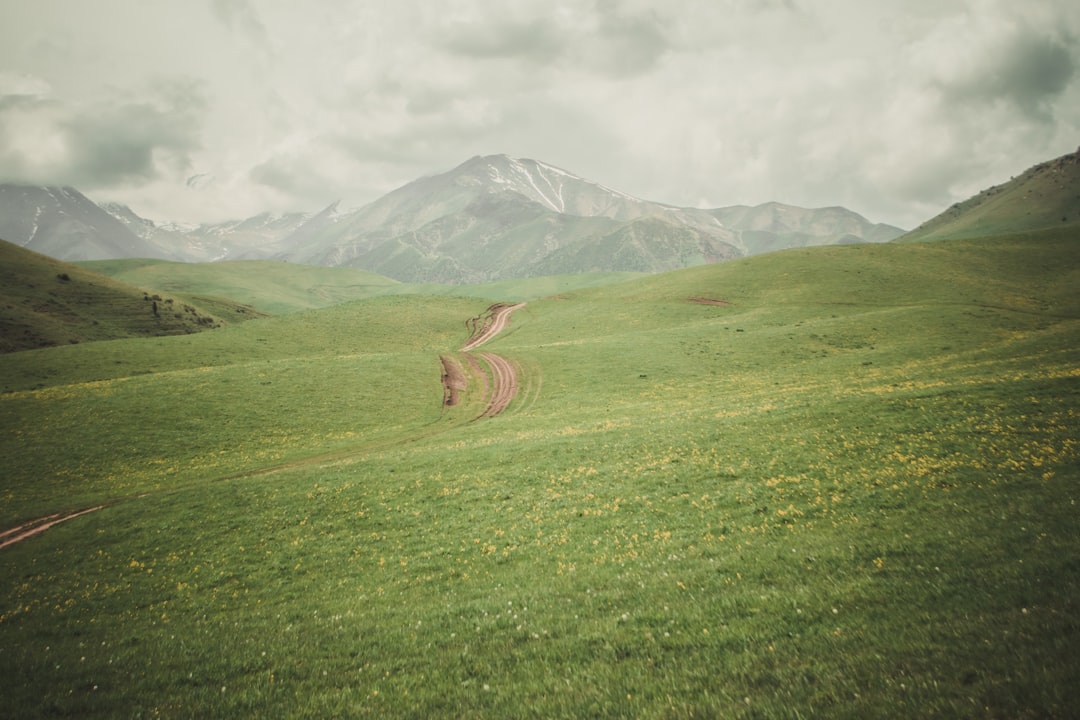 green grass field near mountain during daytime