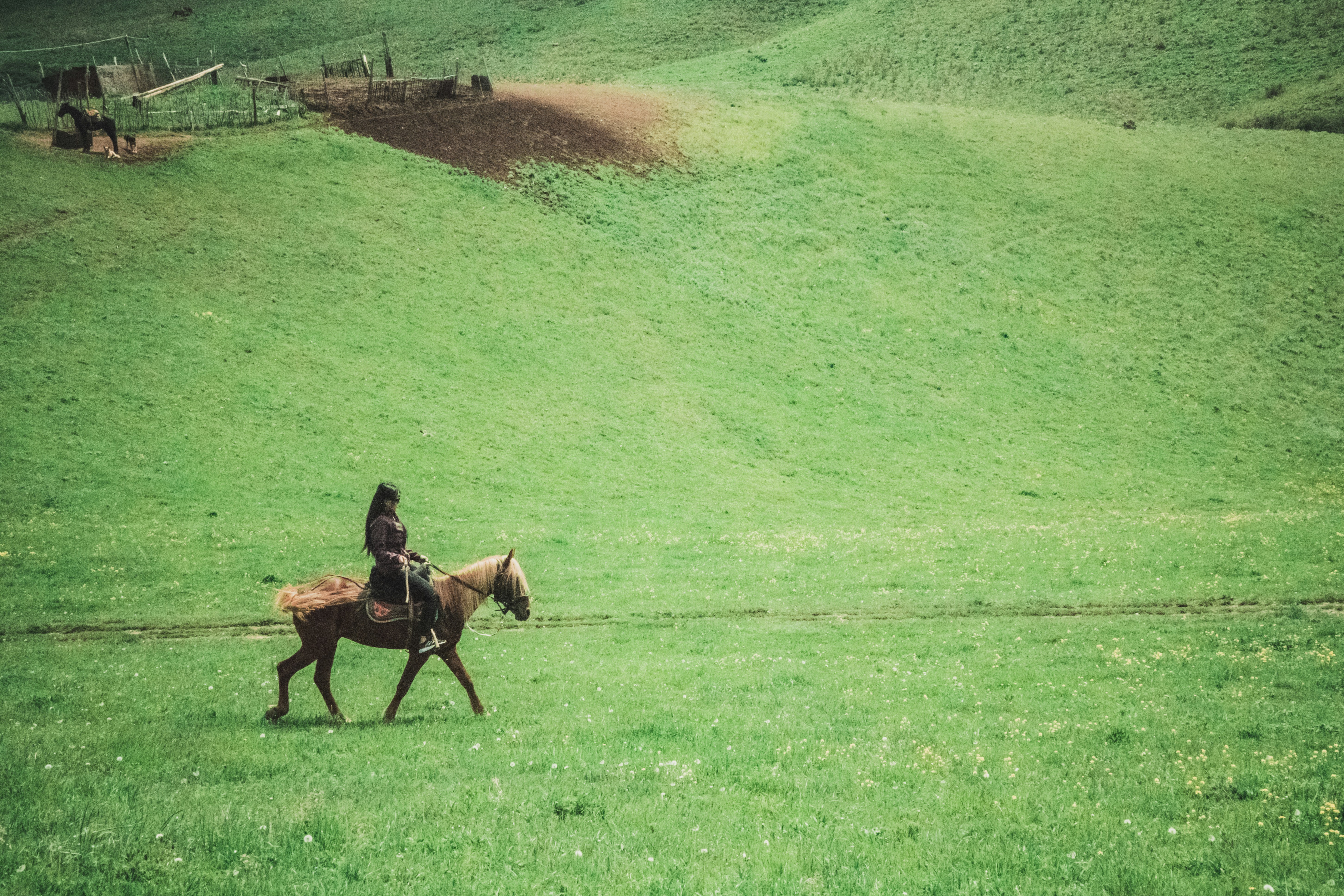 Photo by asilbekovadilet