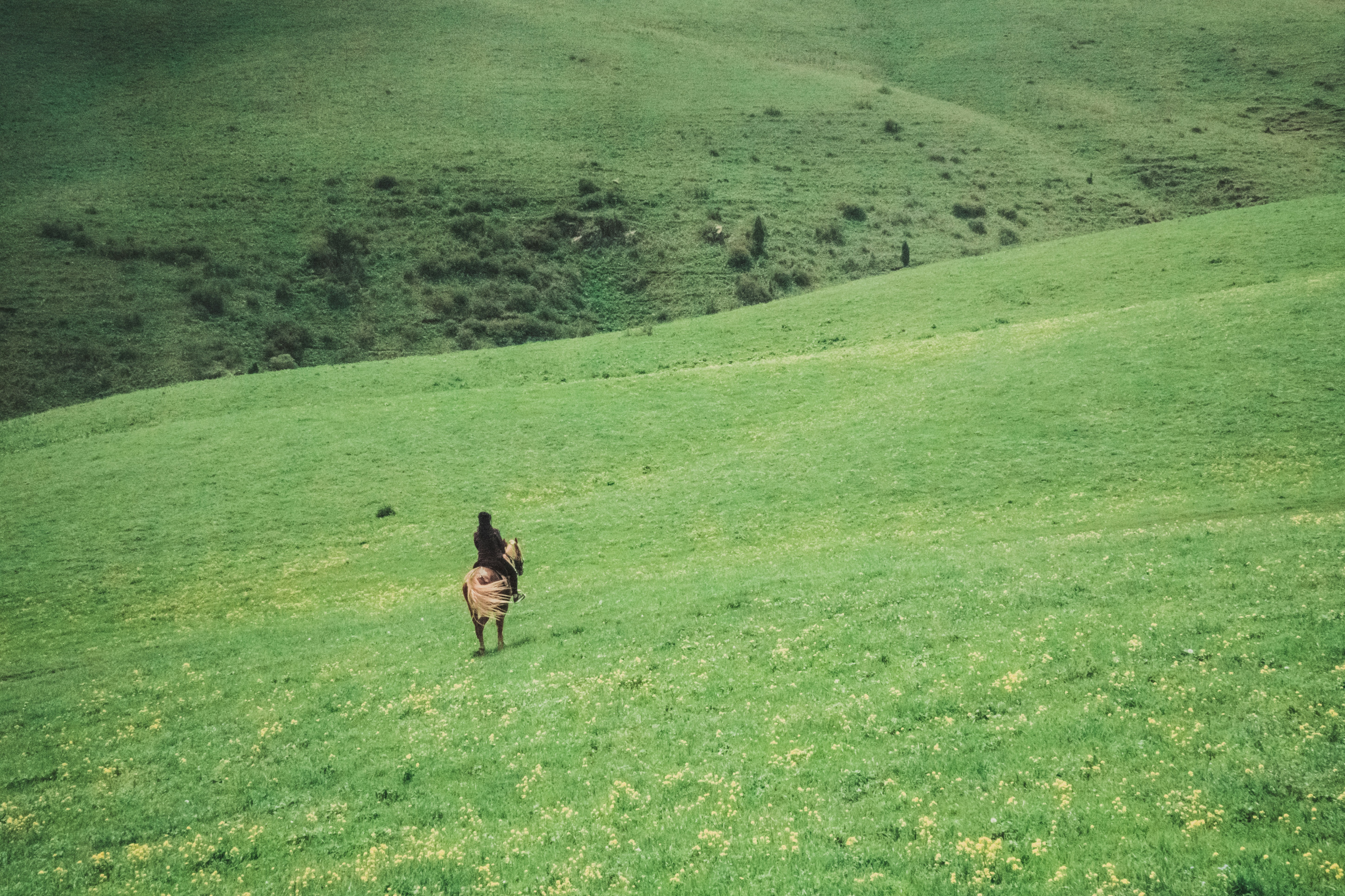 Photo by asilbekovadilet