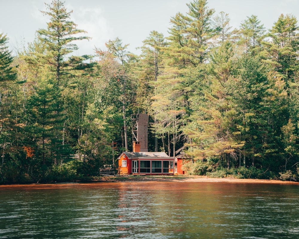 red wooden boat on river near green trees during daytime