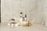 A minimalist arrangement featuring skincare products including a jar, a bottle with a dropper, and another jar. These items are placed on white blocks, accompanied by delicate dried flowers and a decorative stone object. The background is a textured, light-colored surface that enhances the serene and natural aesthetic.