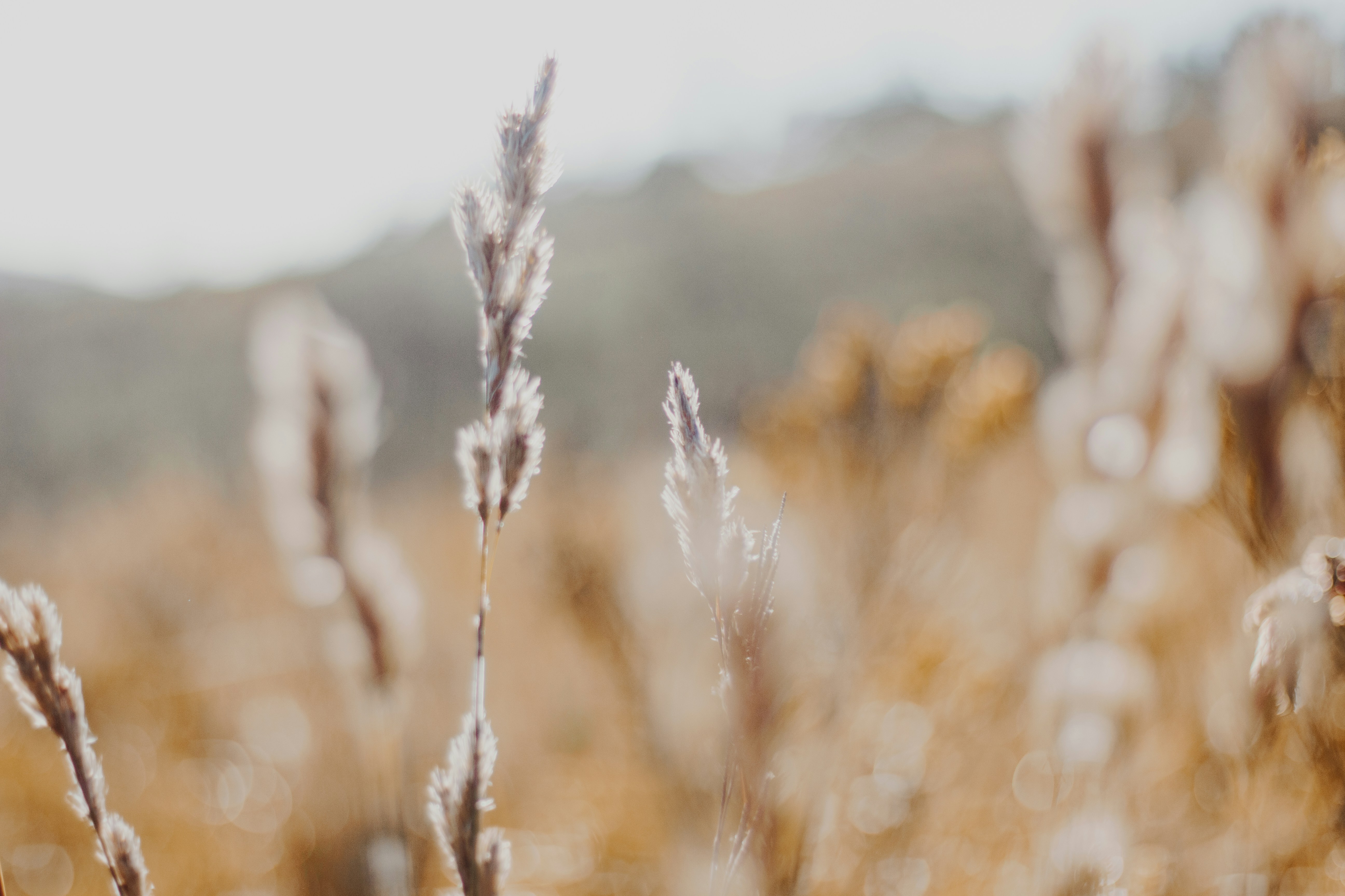 Photo by sincerelymedia