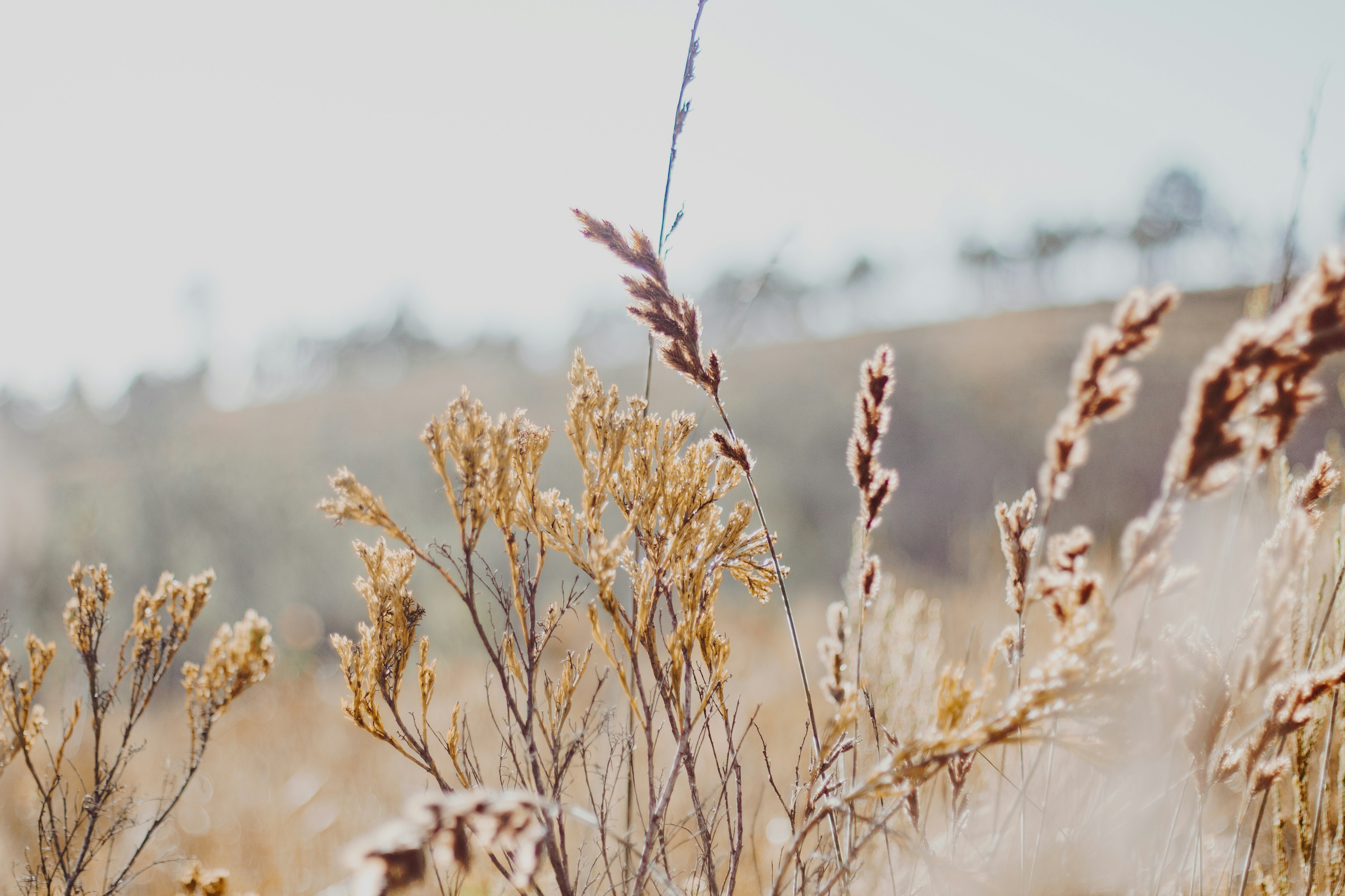 Photo by sincerelymedia