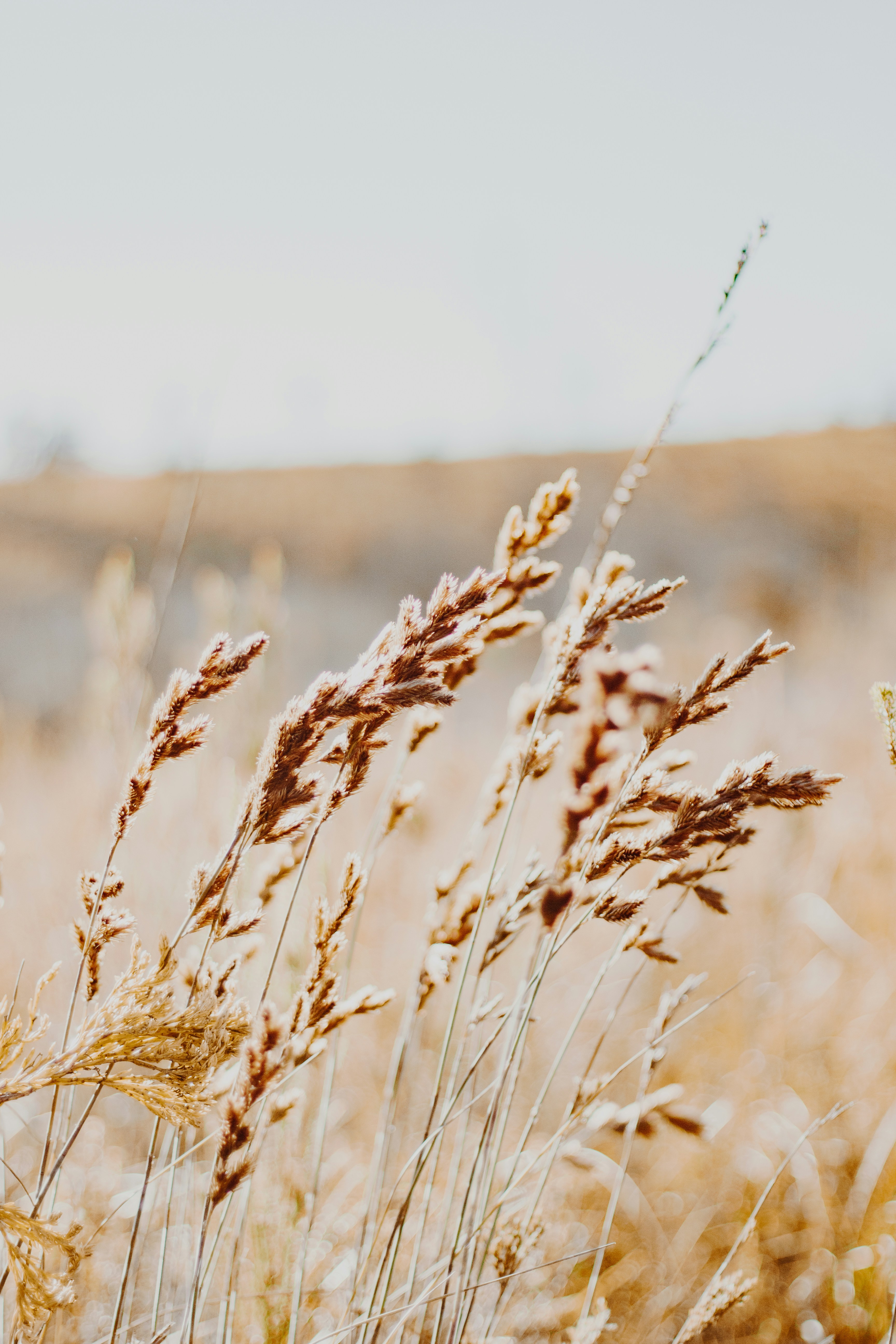 Photo by sincerelymedia