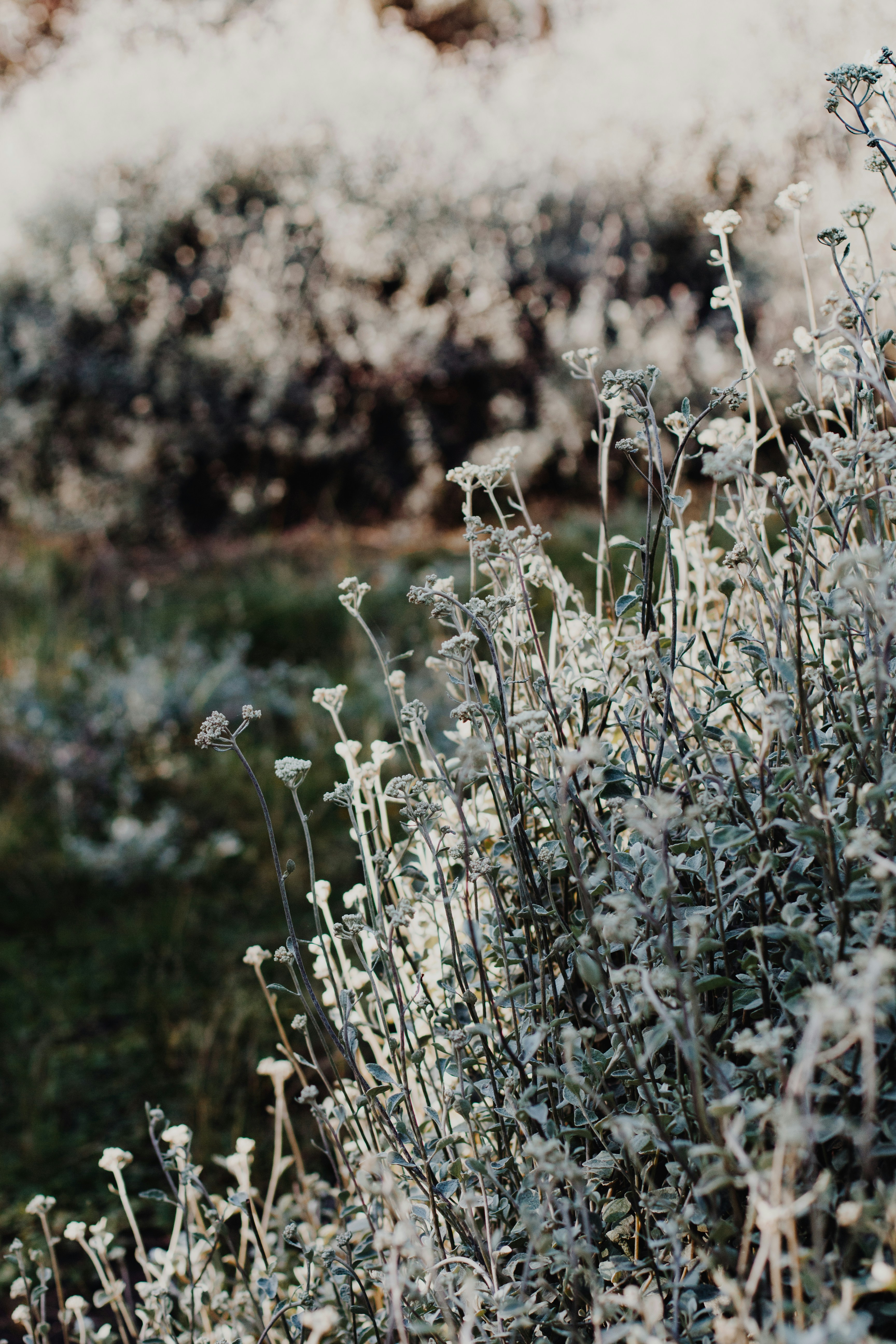 Photo by sincerelymedia