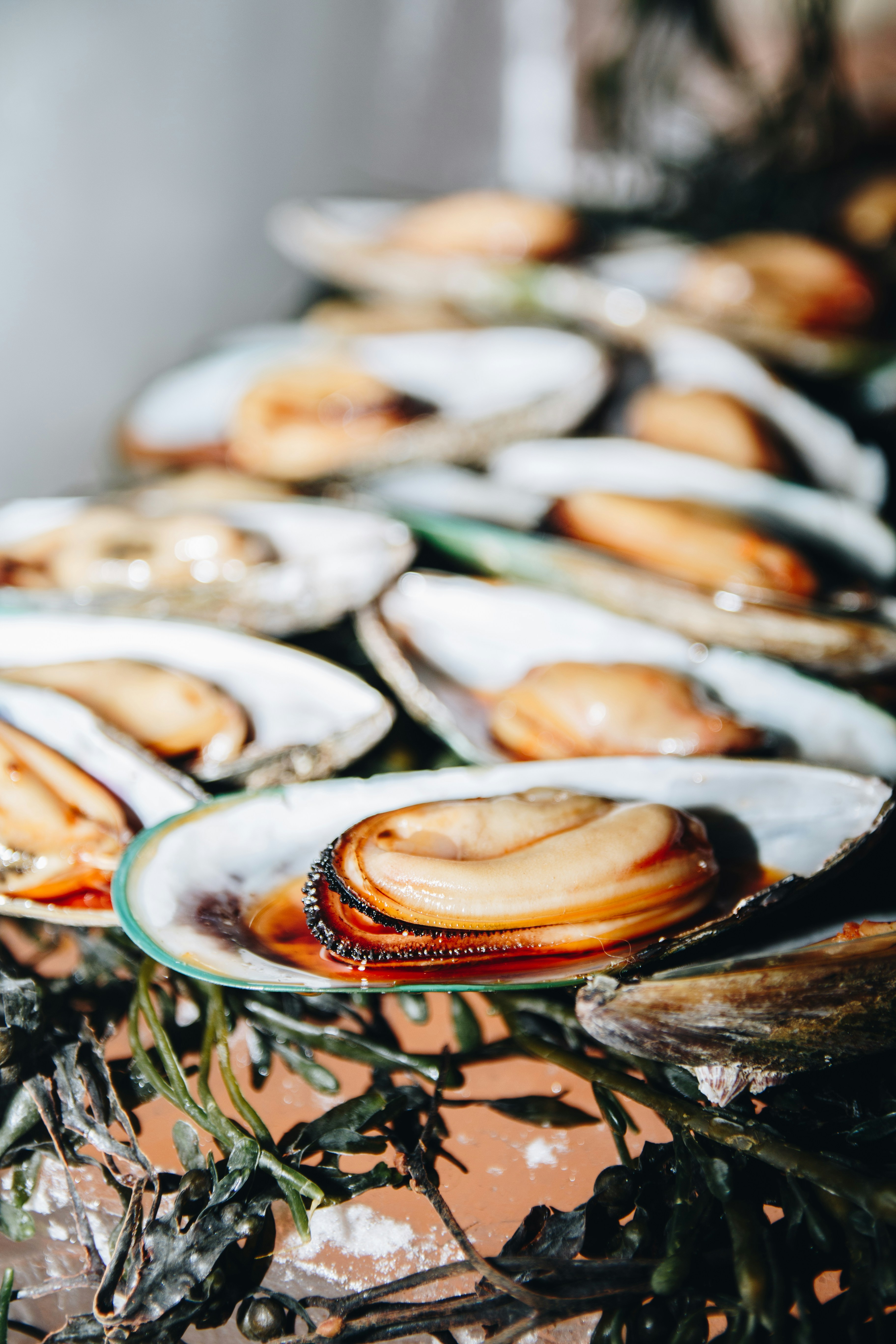 Delicias de Mariscos Manabitas