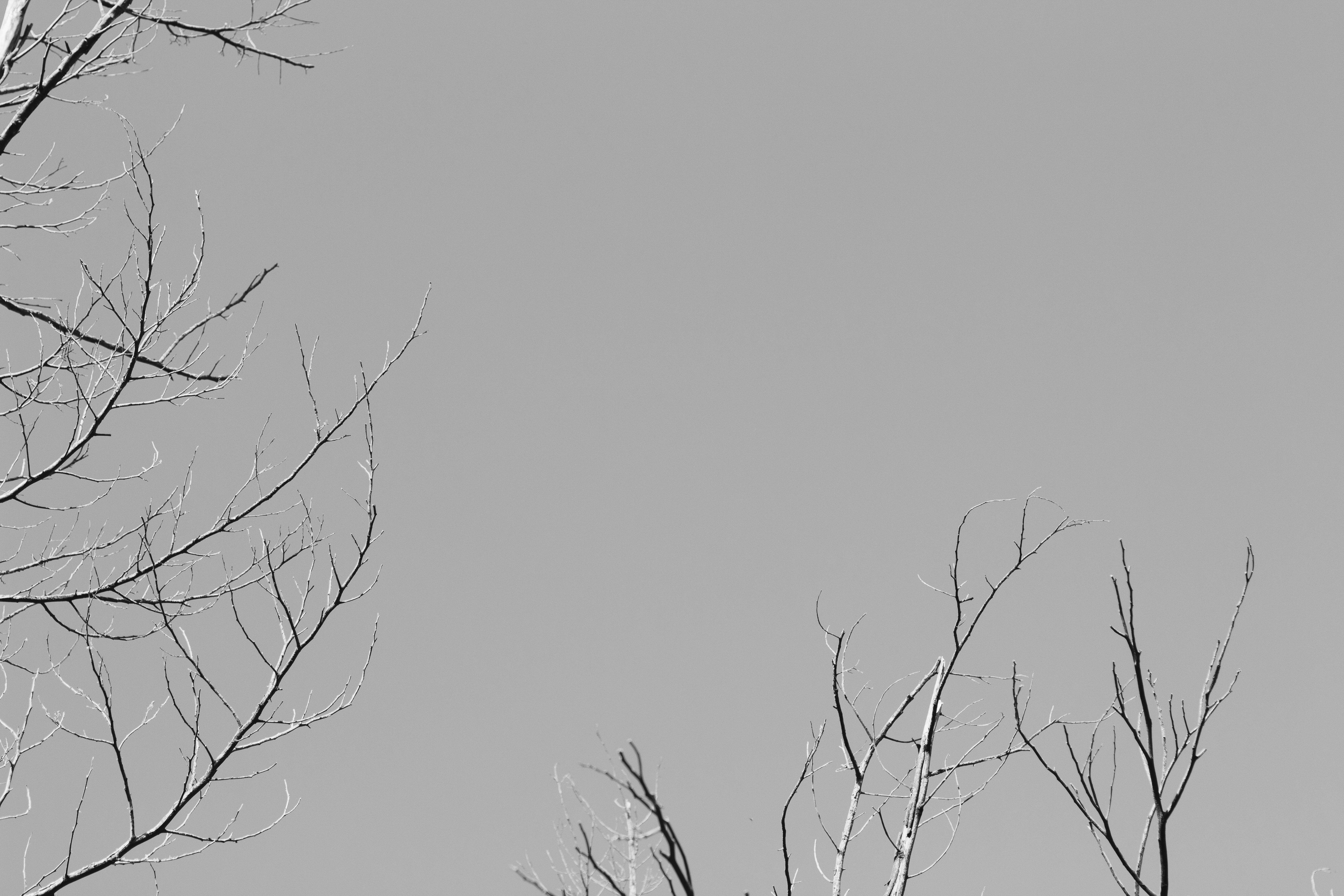 Photo by sincerelymedia