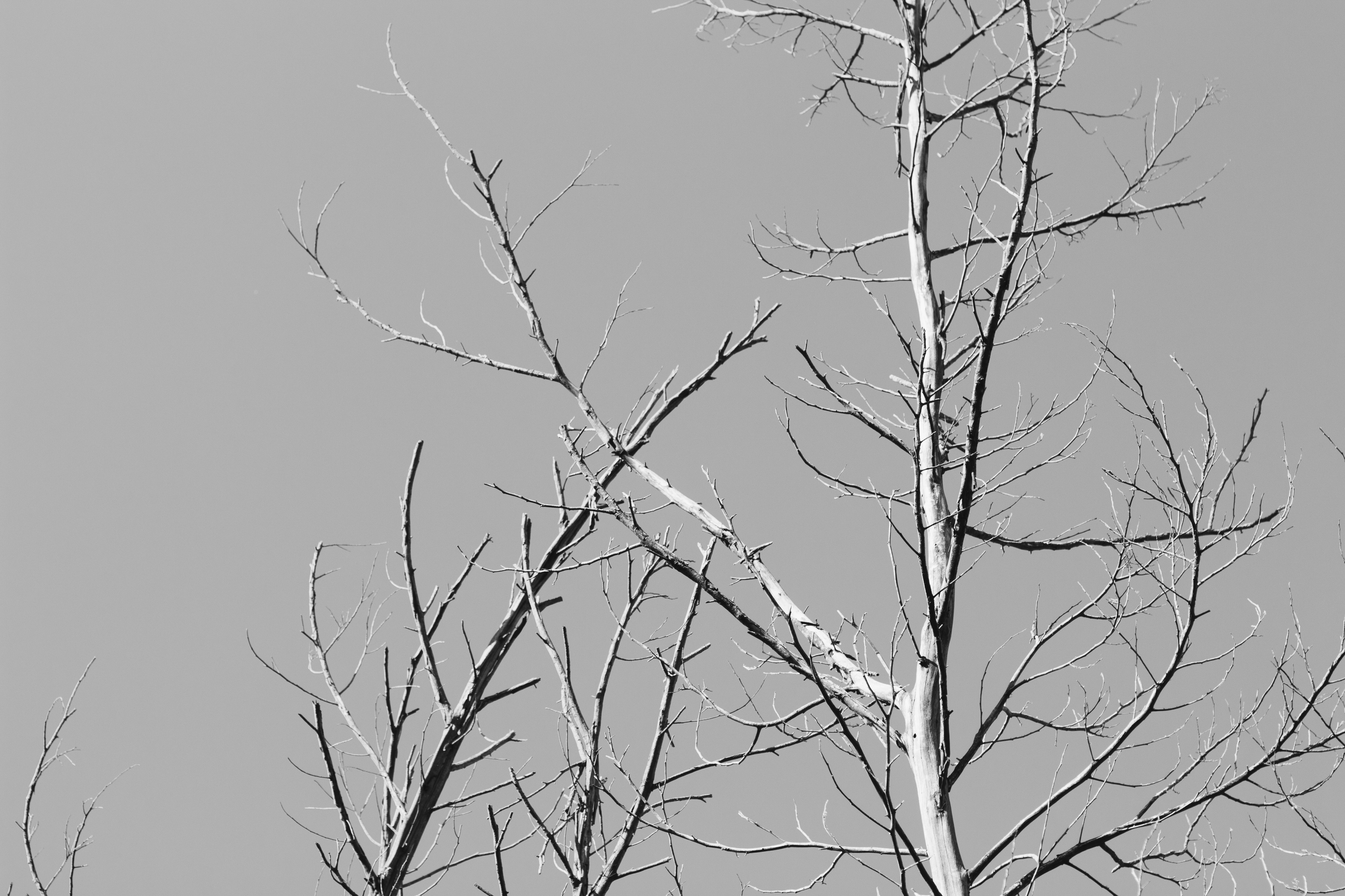 Photo by sincerelymedia