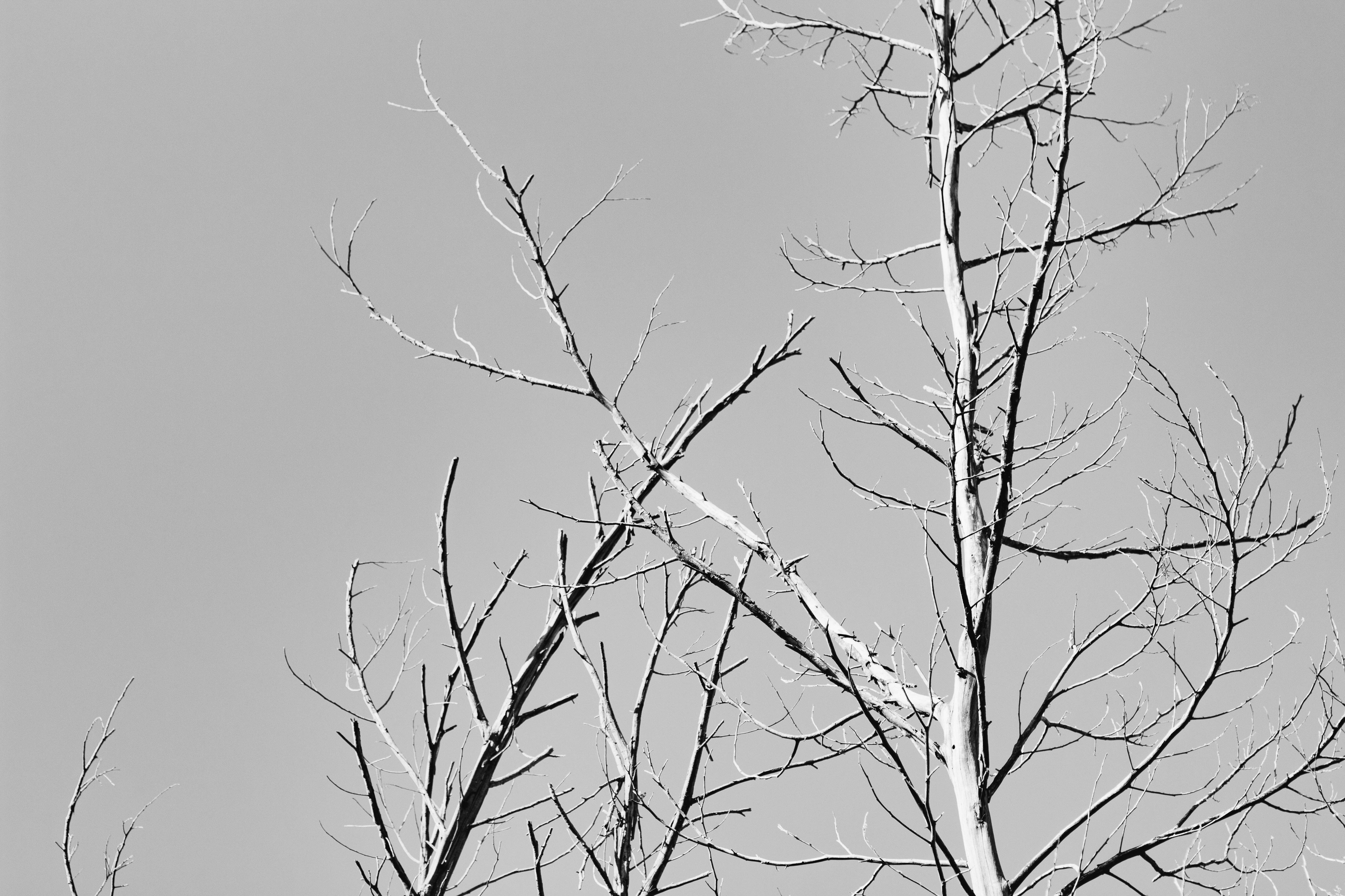 Photo by sincerelymedia