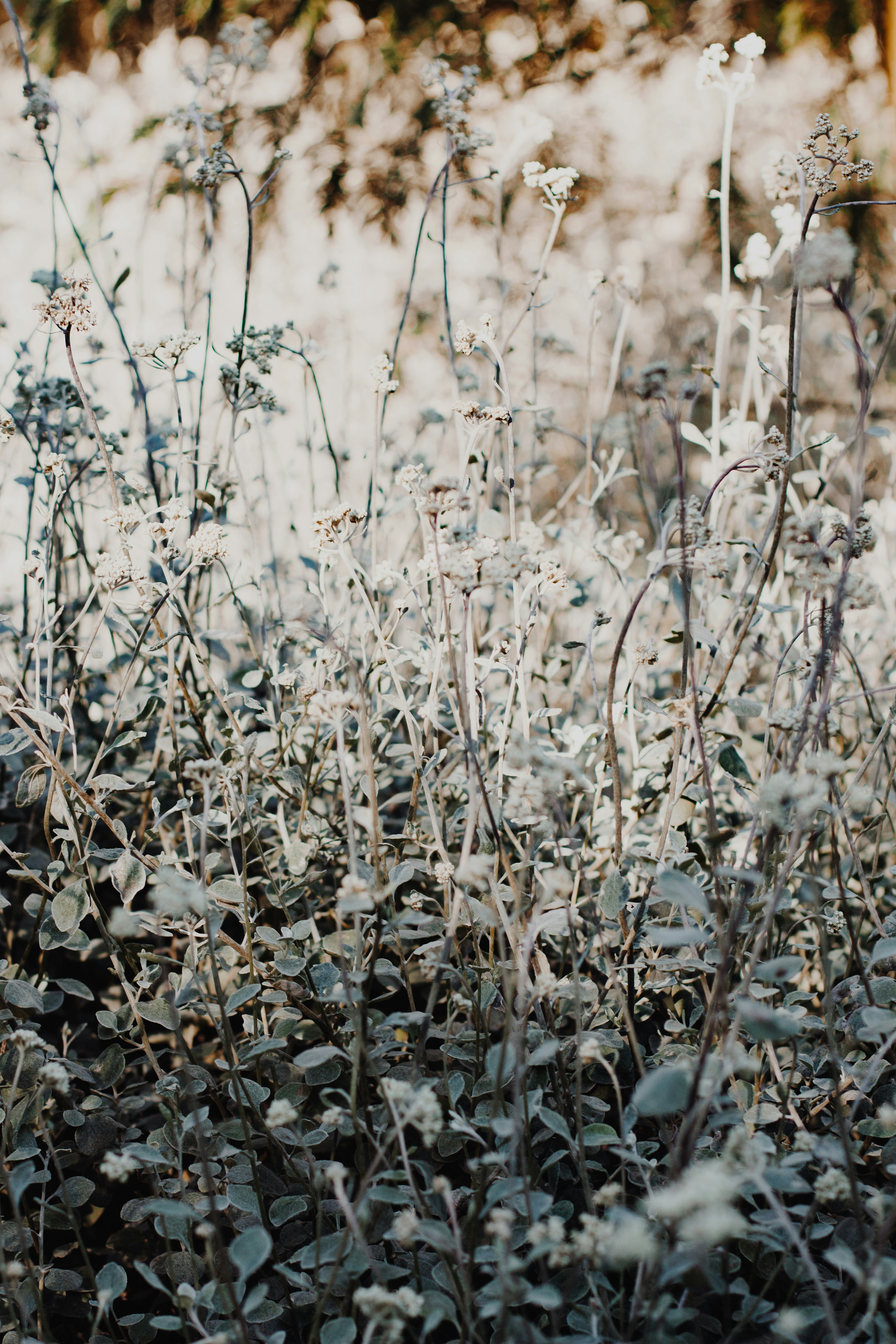 Photo by sincerelymedia