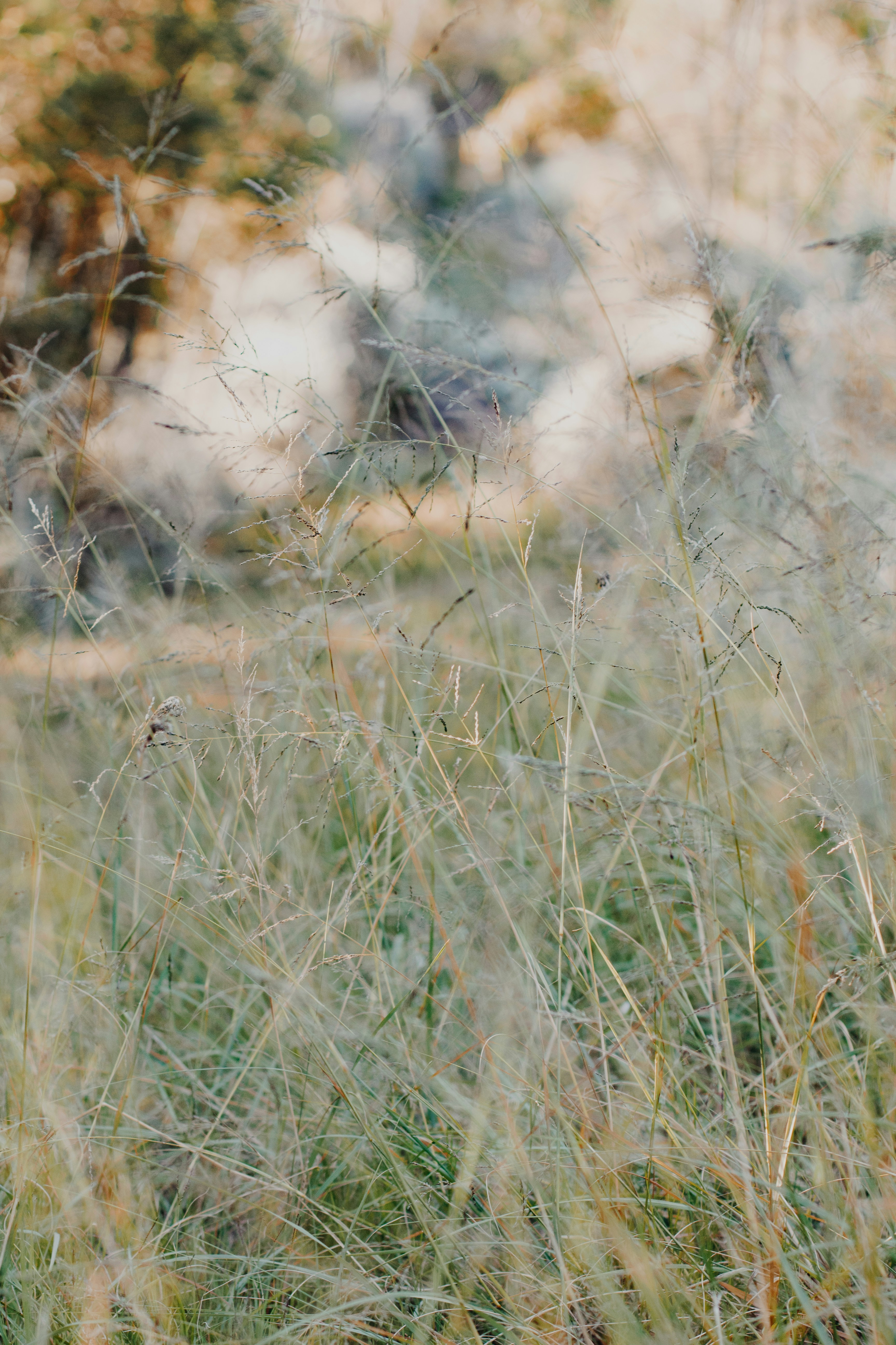 Photo by sincerelymedia