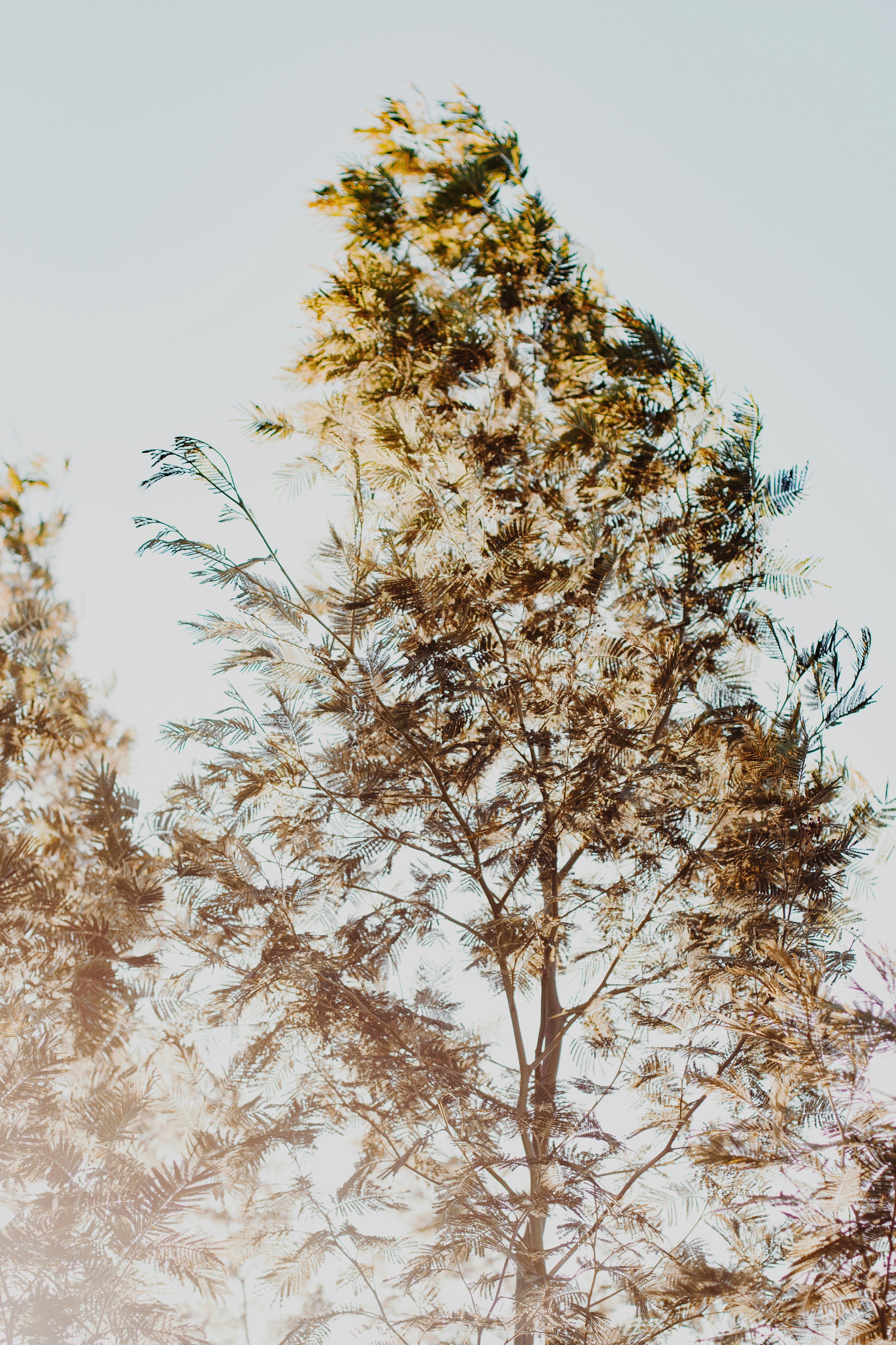 Photo by sincerelymedia