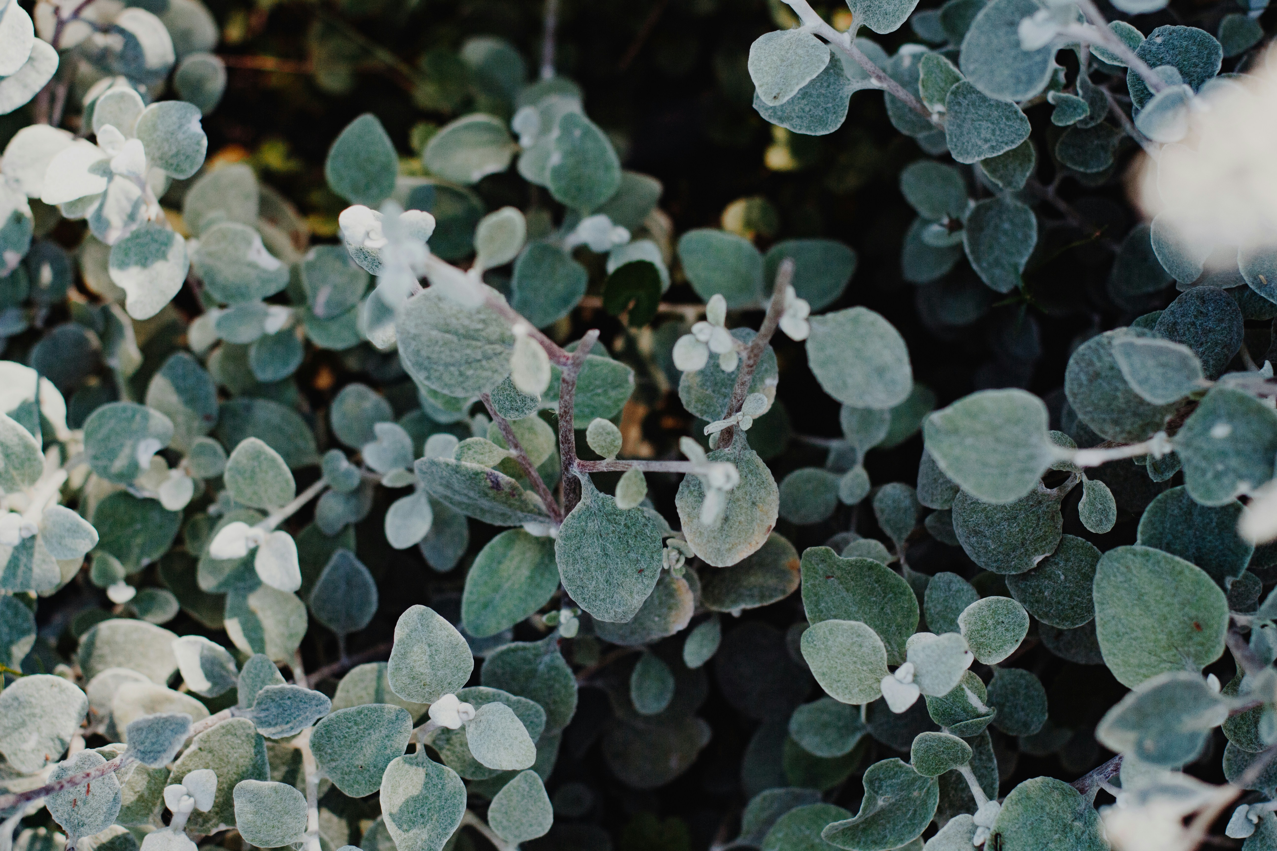 Photo by sincerelymedia