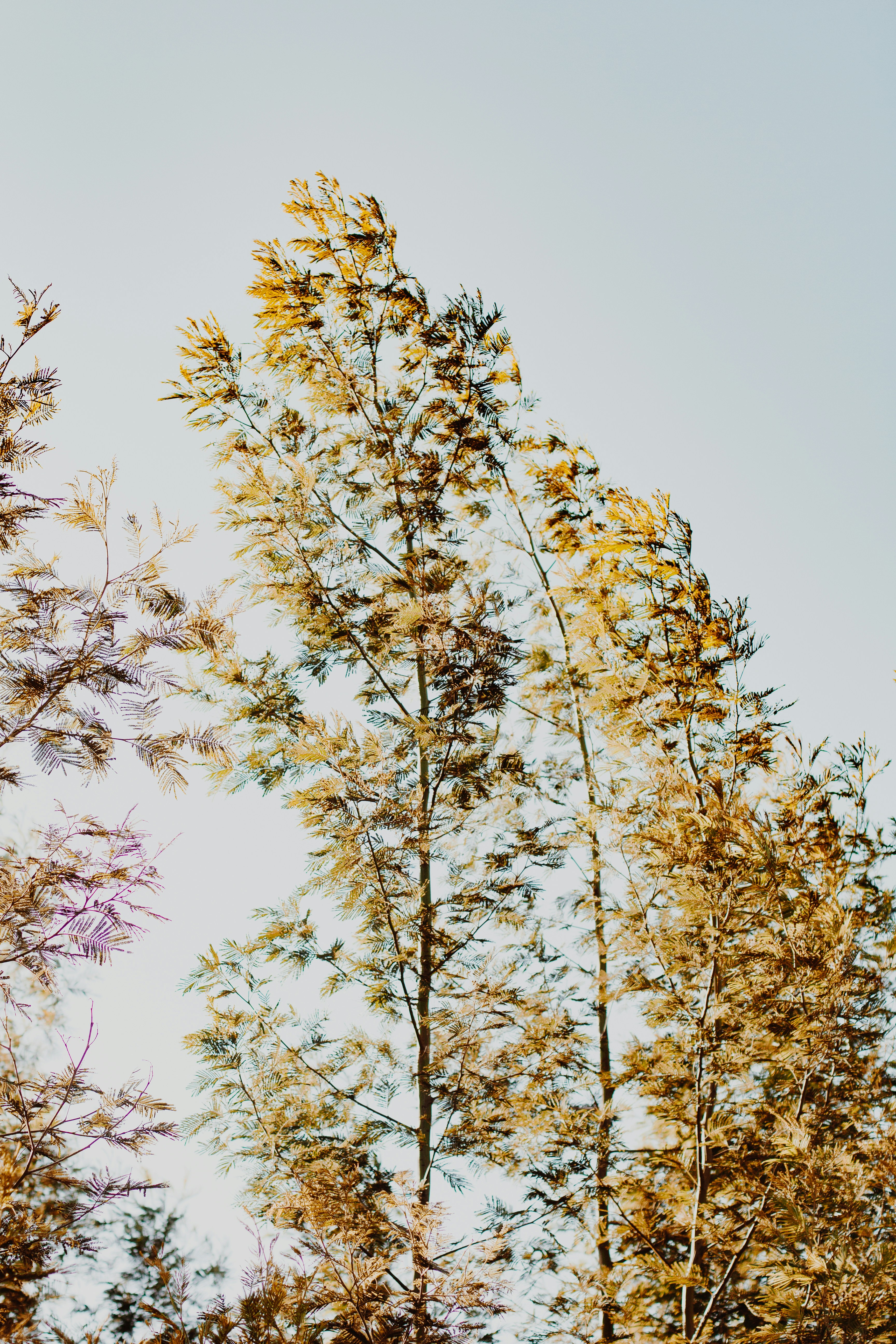 Photo by sincerelymedia