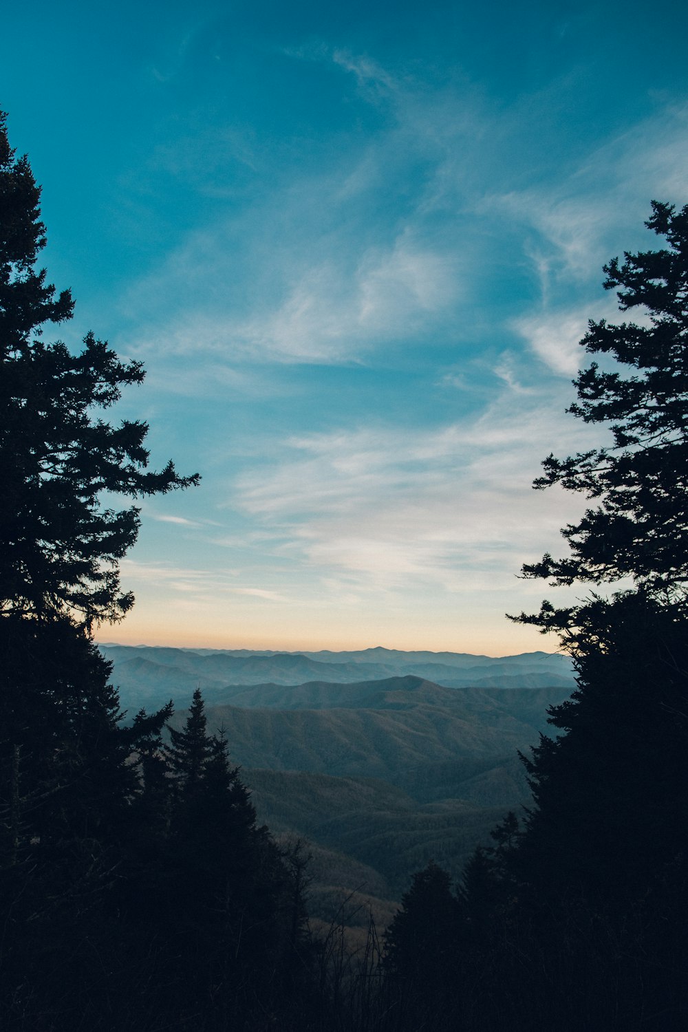 green trees on mountain under white clouds and blue sky during daytime