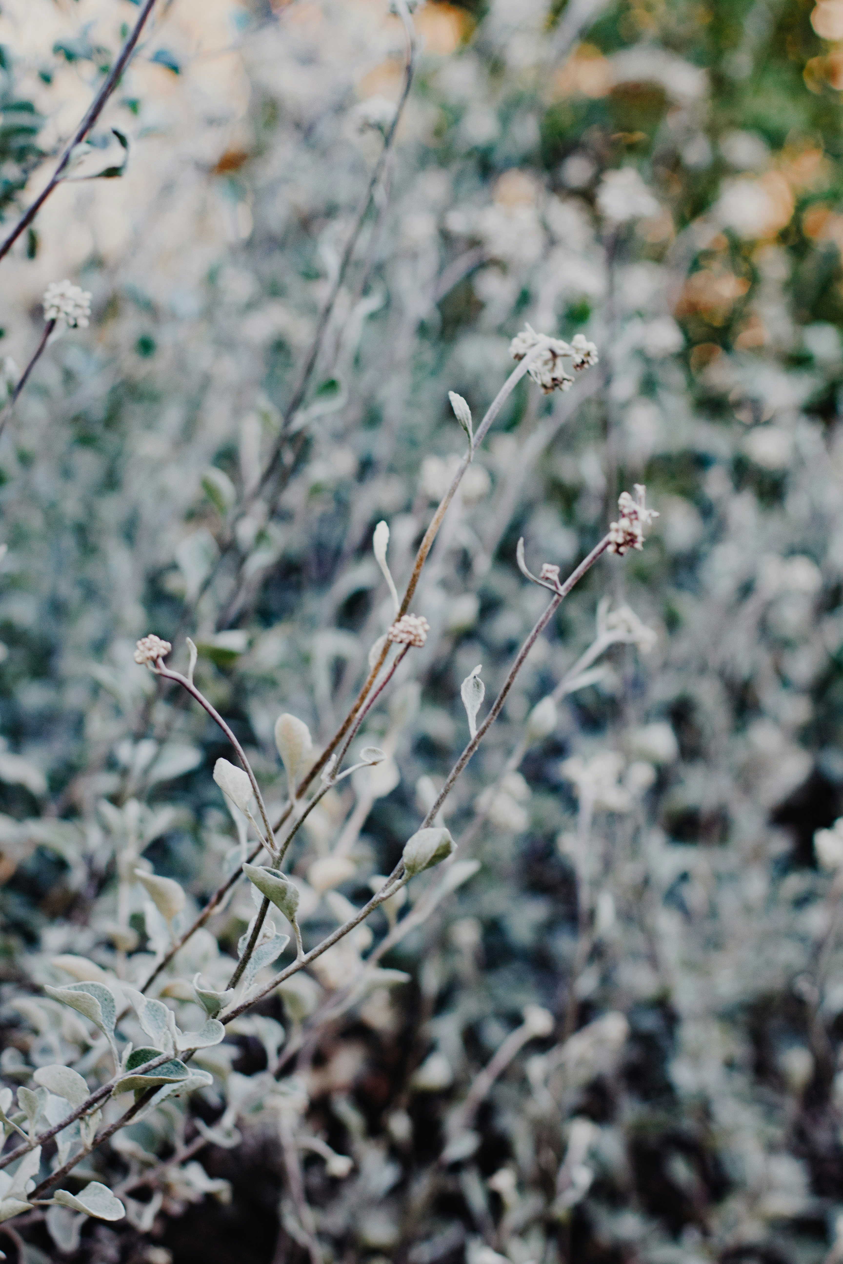 Photo by sincerelymedia