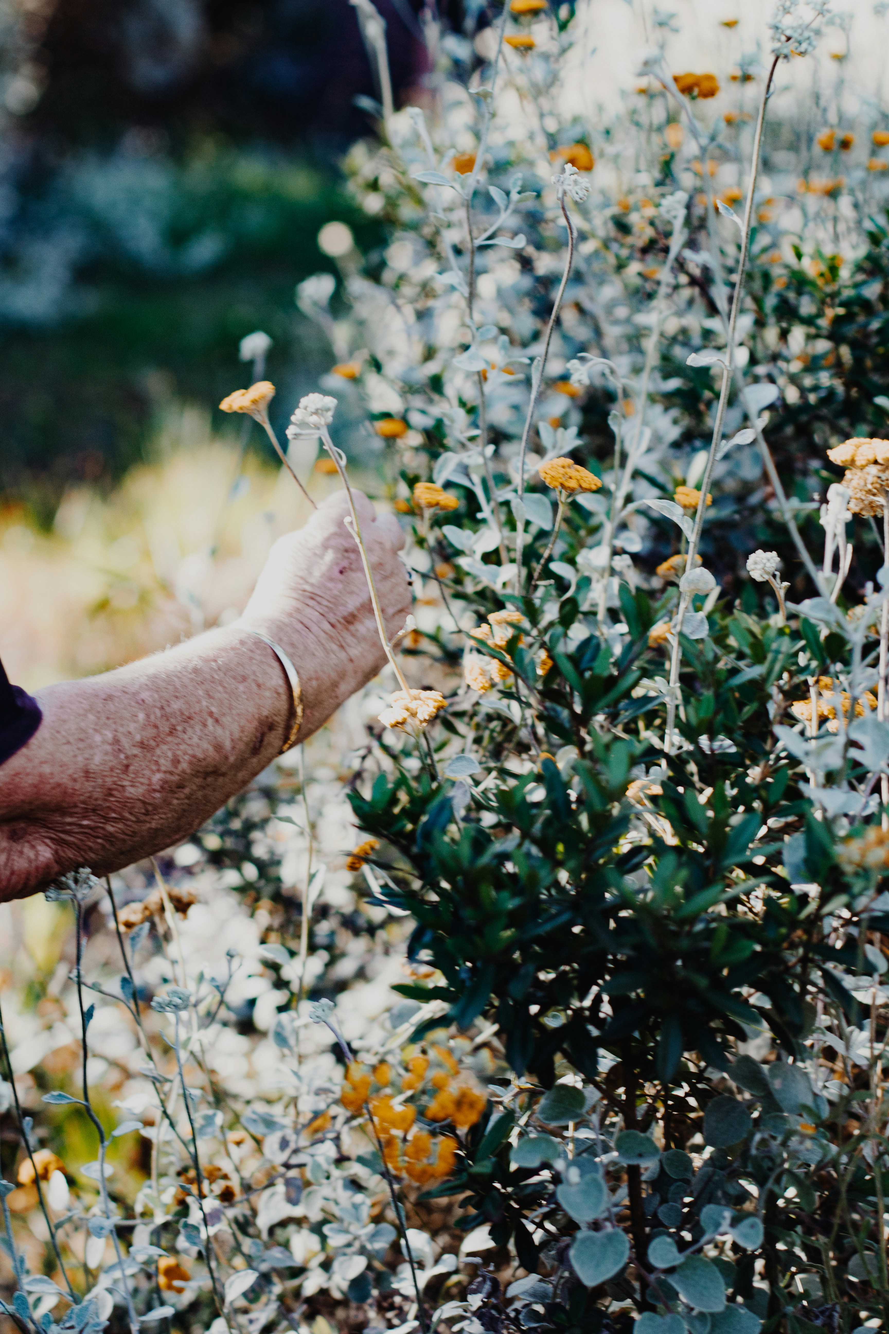 Photo by sincerelymedia