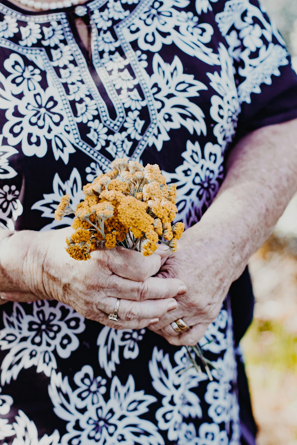 person holding brown and green plant