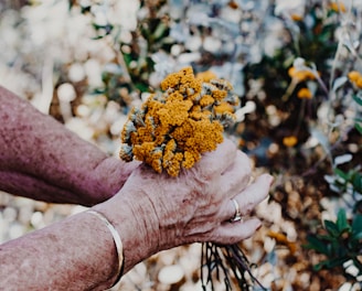 person holding yellow flowers during daytime