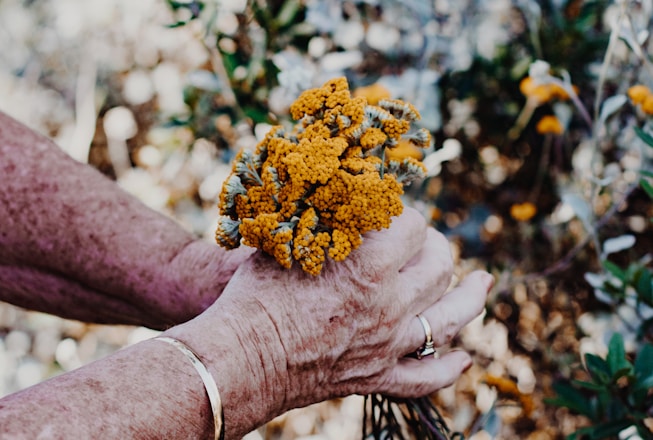 person holding yellow flowers during daytime