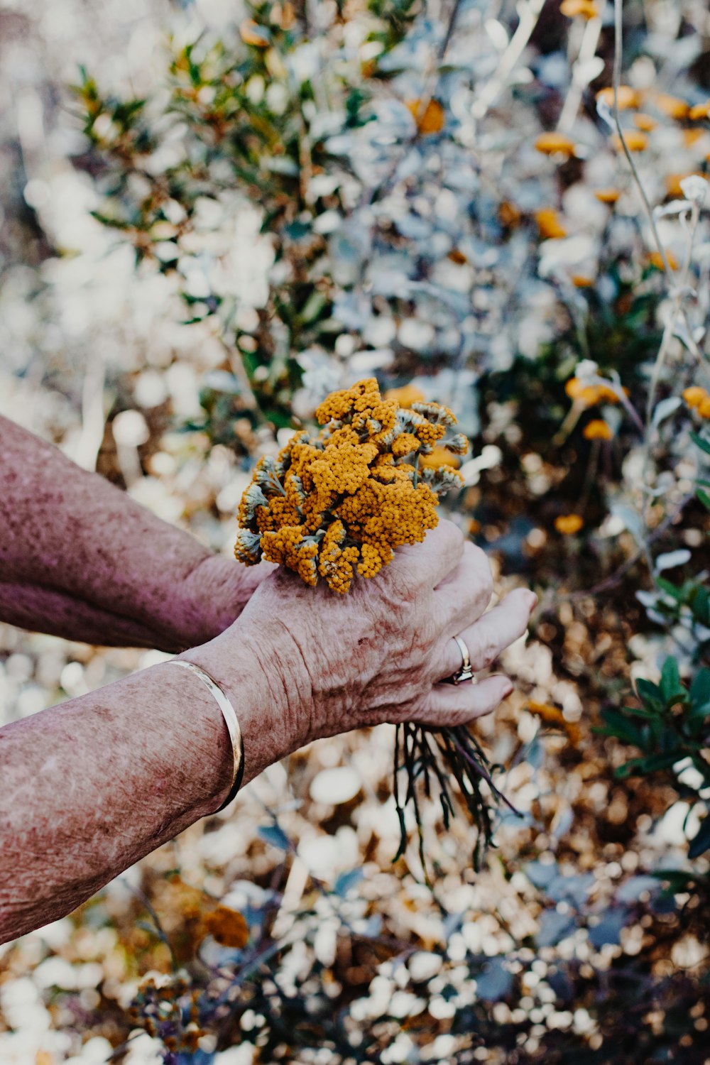 pessoa segurando flores amarelas durante o dia
