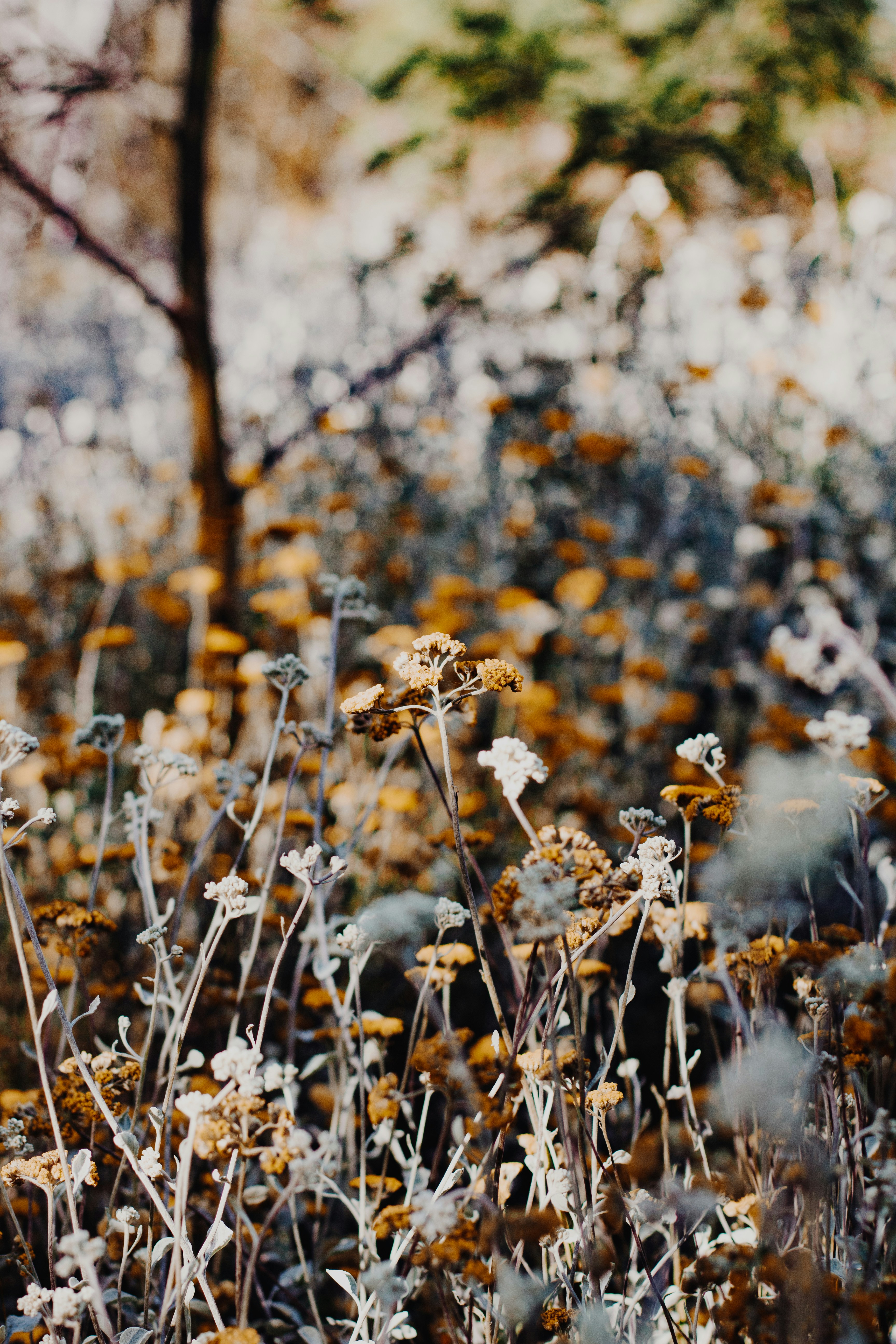 Photo by sincerelymedia