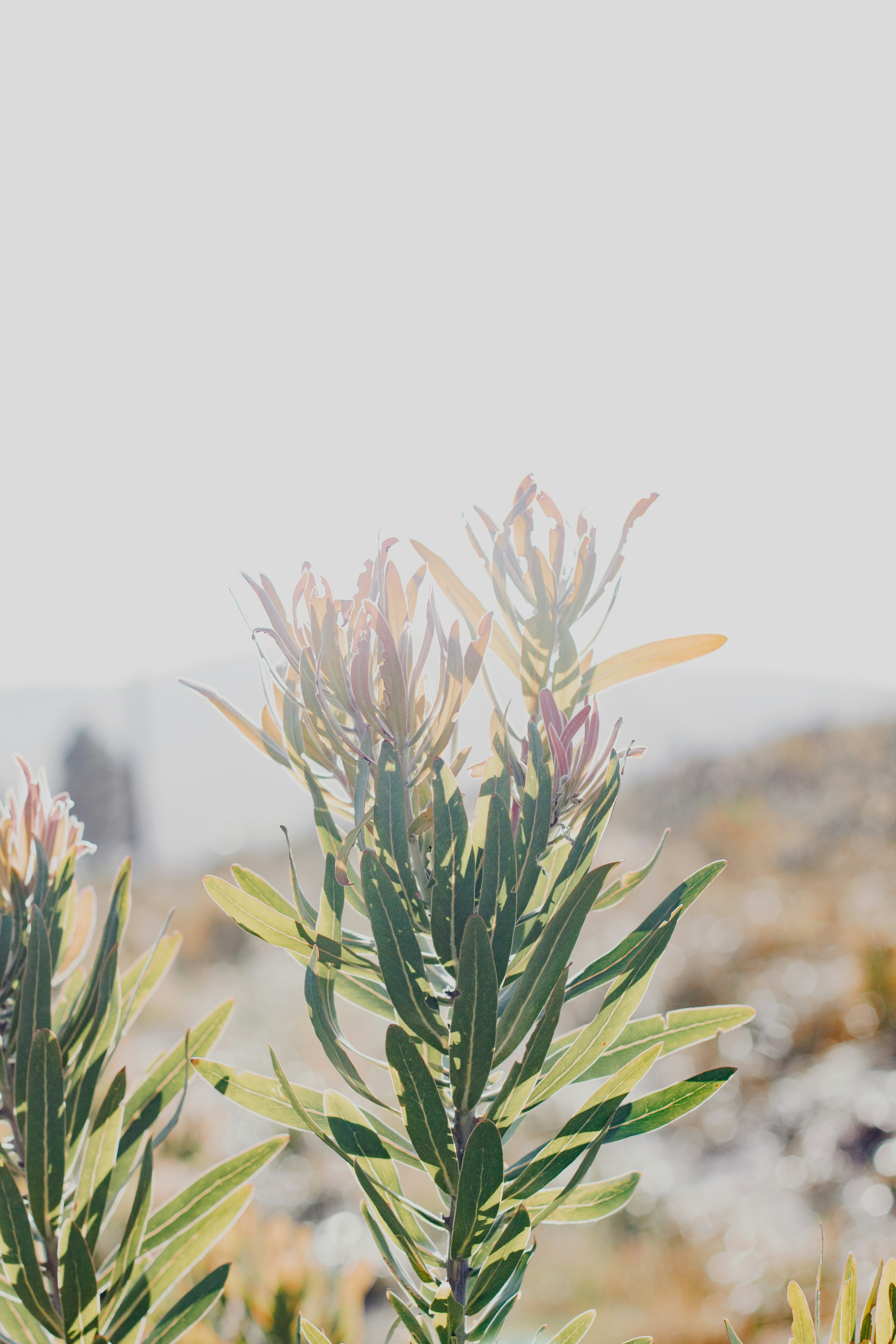 Photo by sincerelymedia