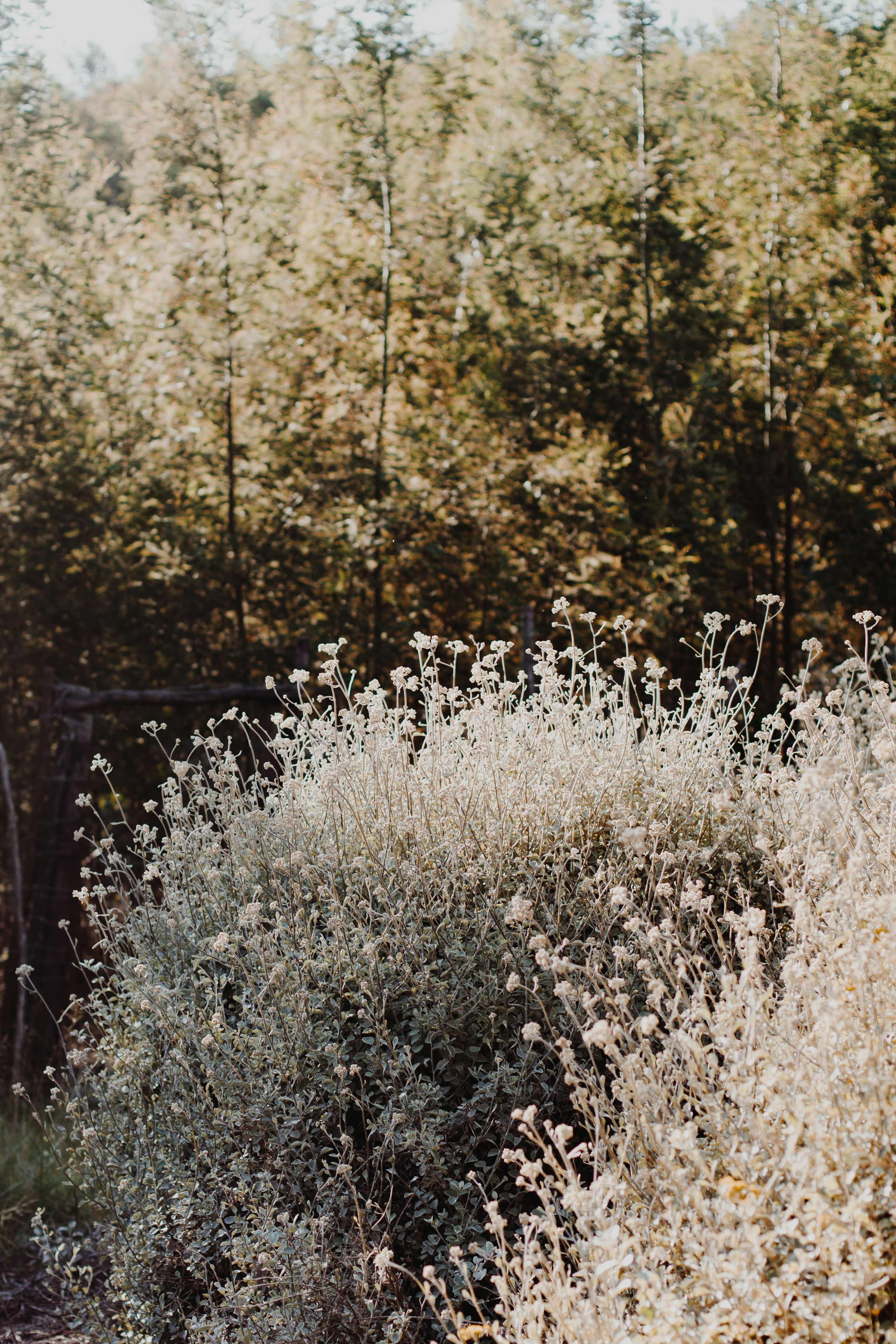 Photo by sincerelymedia