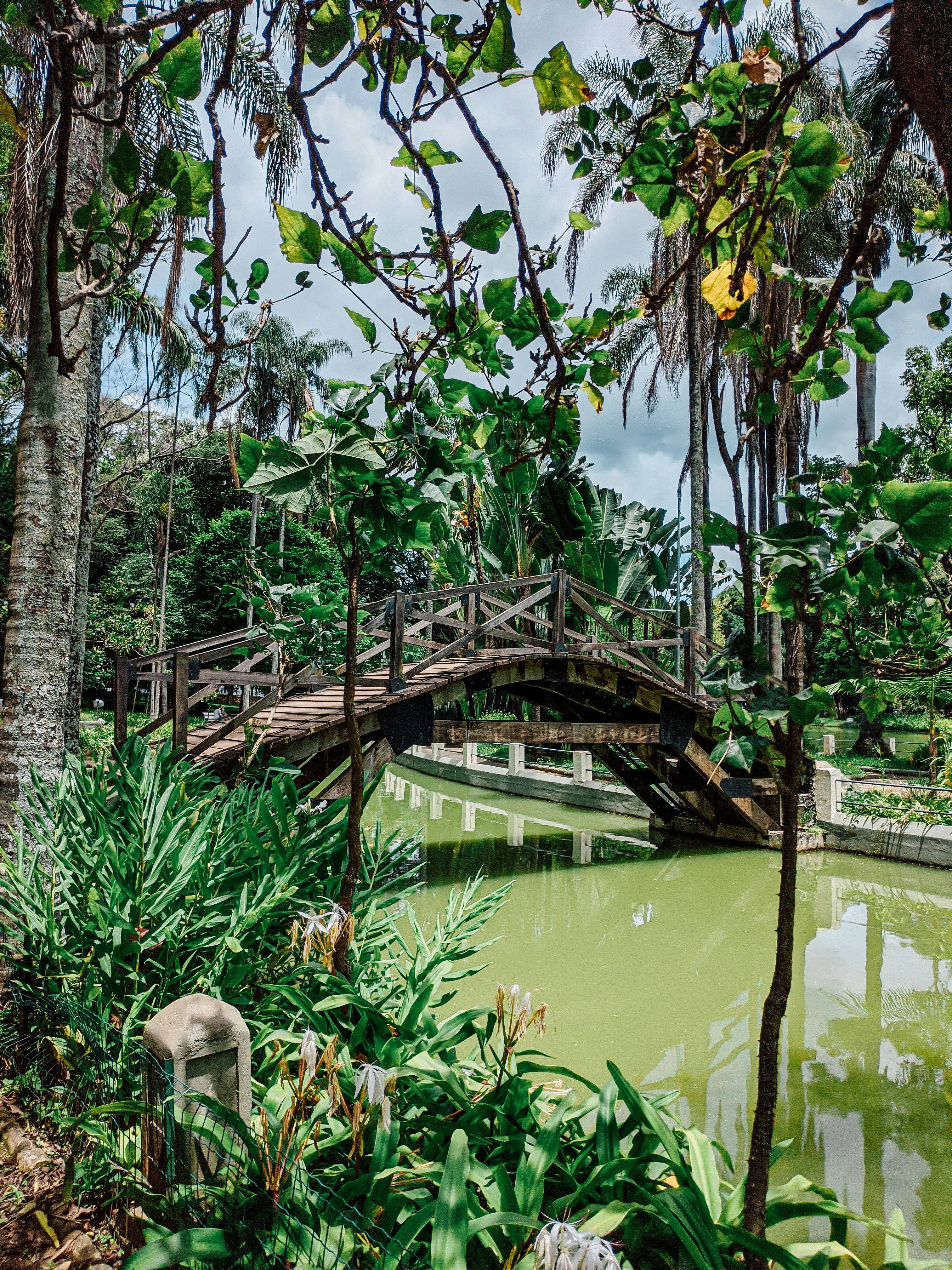 Photo by claitonconto