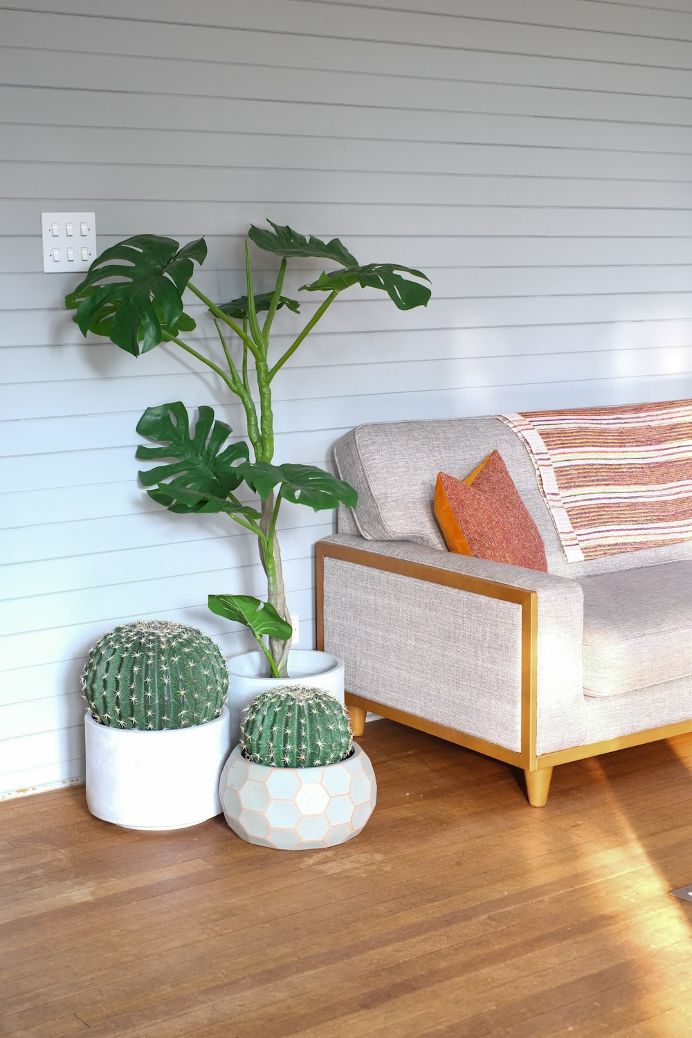 green plant on white ceramic pot