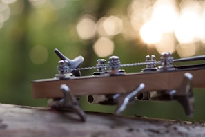 Close-up of guitar tuning pegs and strings with a blurred background of green foliage and sunlight creating a bokeh effect.