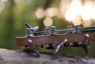 Close-up of guitar tuning pegs and strings with a blurred background of green foliage and sunlight creating a bokeh effect.