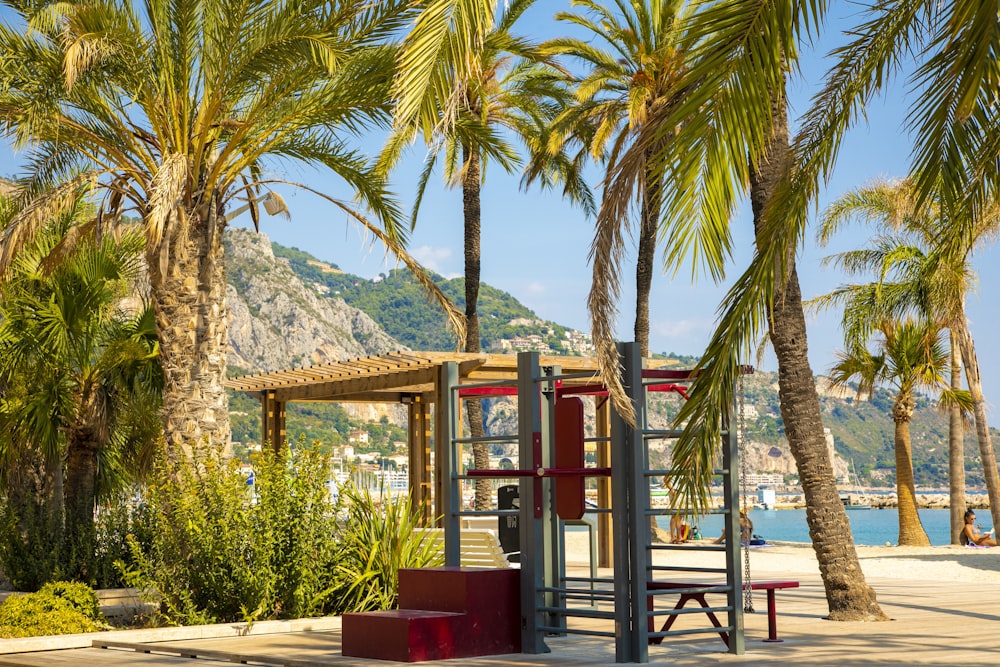 palm tree near brown wooden bench during daytime