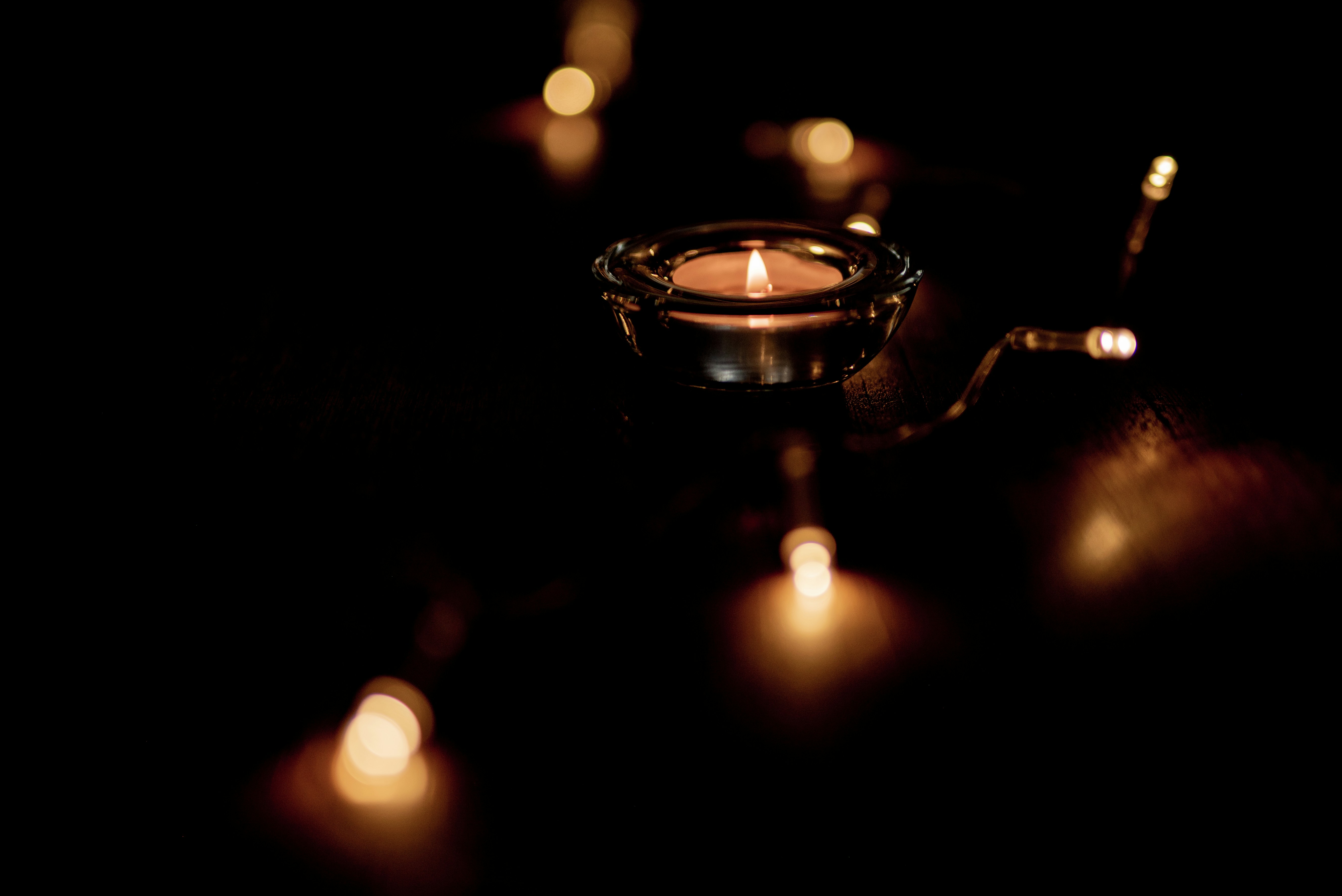 Photo by lauraadaiphoto