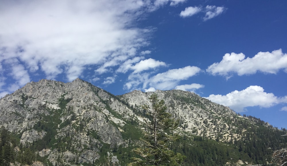 green trees on mountain under blue sky during daytime